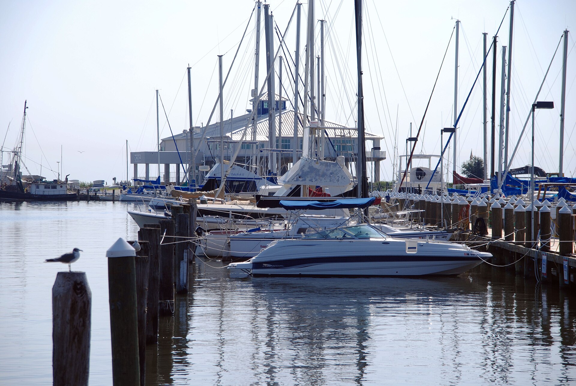 Boats docked at the harbor in Pass Christian, Mississippi.