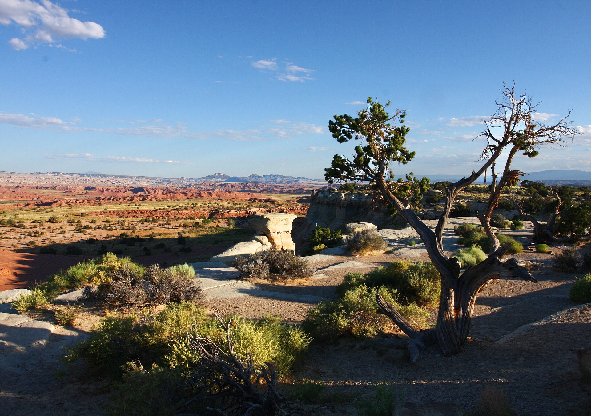A mesa-top view of Castle Valley, Utah.