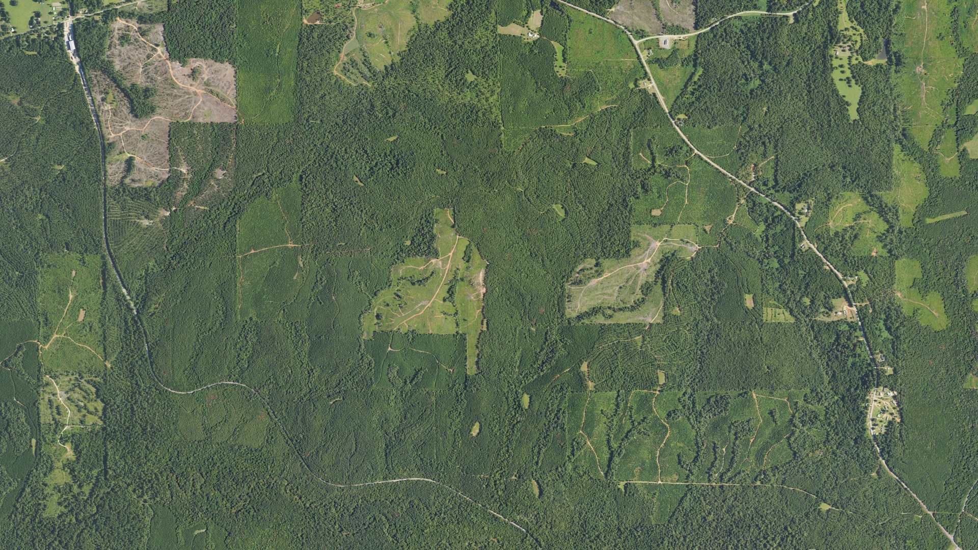 Natural-color aerial photograph of land around Monroe County, Alabama