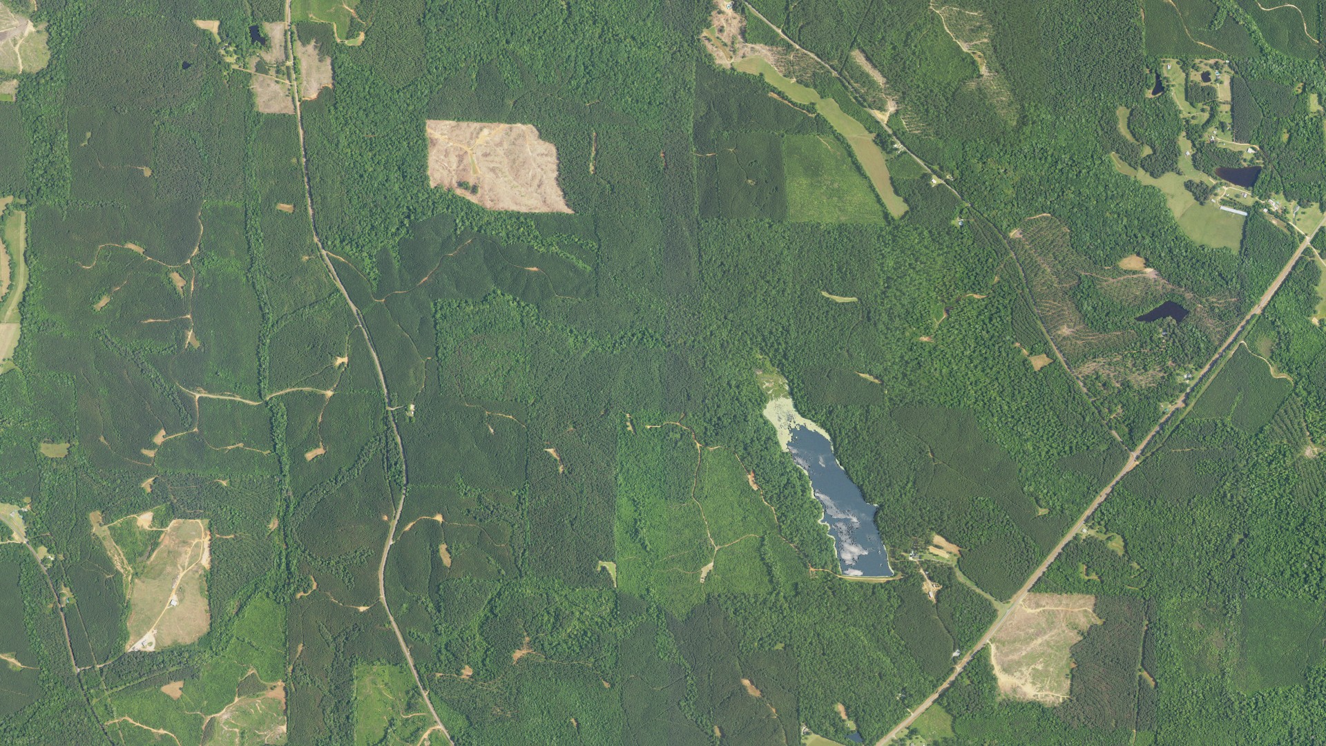 Natural-color aerial photograph of land around Pickens County, Alabama