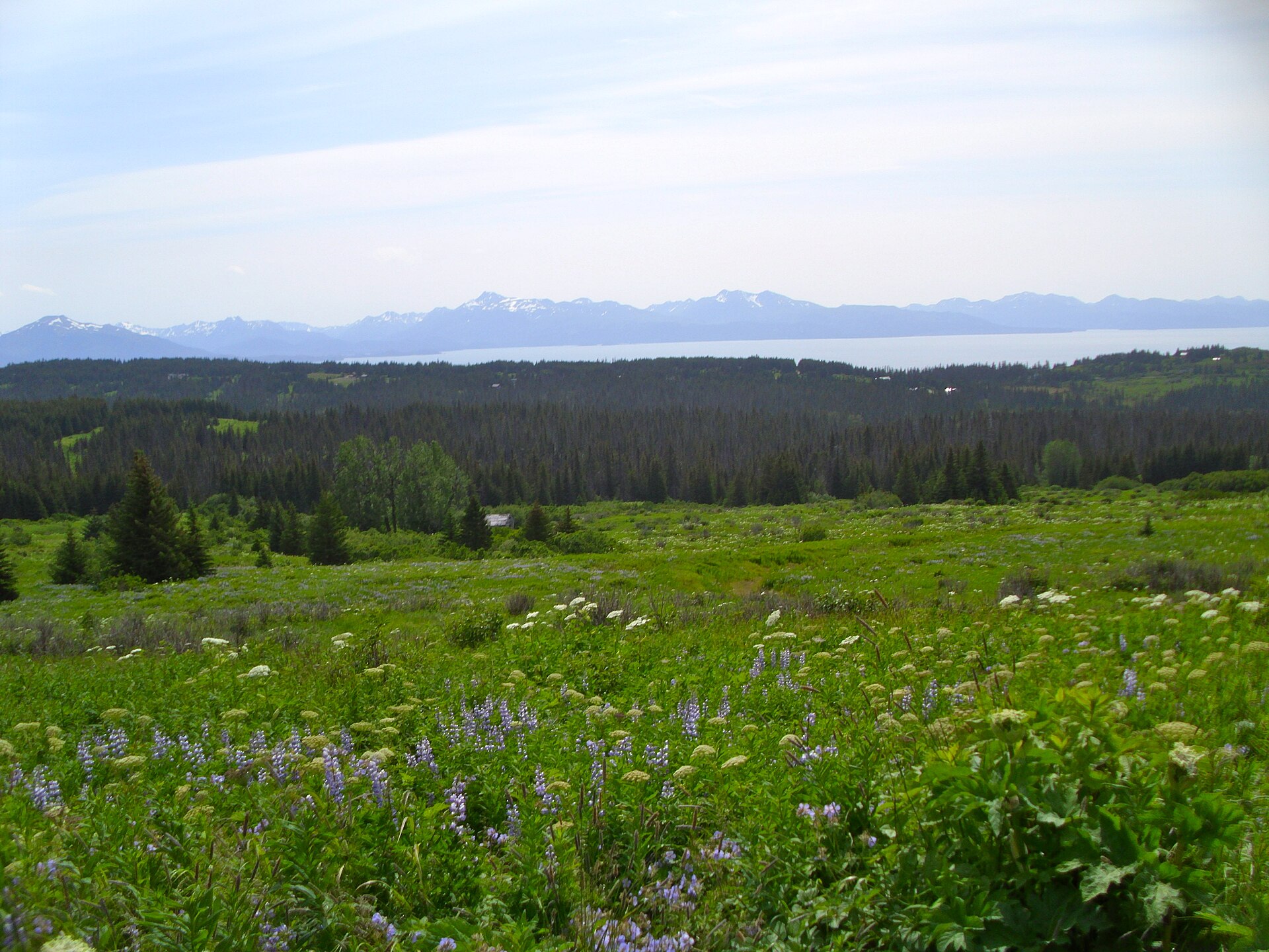 View of Kachemak Bay and the Kenai Mountains from Diamond Ridge, just outside of Homer, Alaska