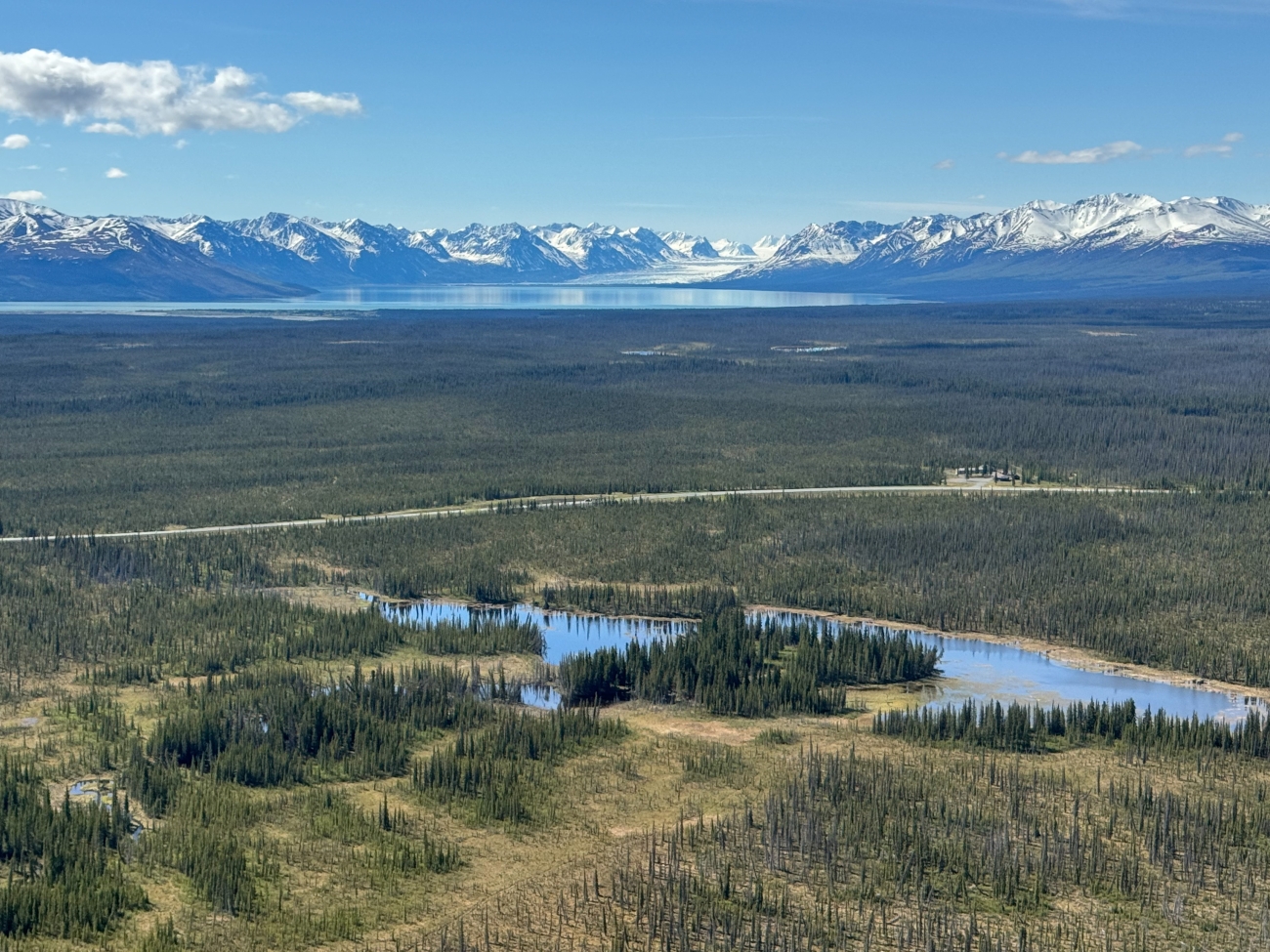 Wetlands near Mendeltna, Alaska.