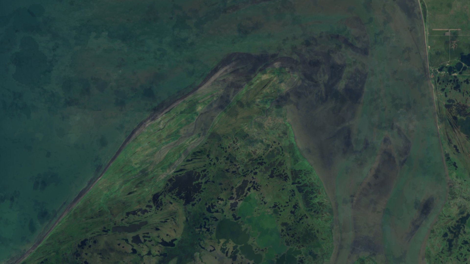Satellite photograph of the landscape around Pilot Point, Alaska, captured in 2016