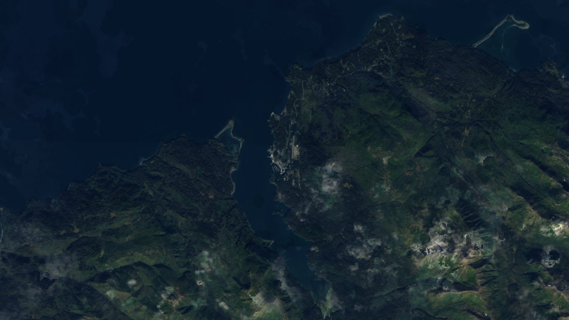 Satellite photograph of the landscape around Seldovia, Alaska, captured in 2016