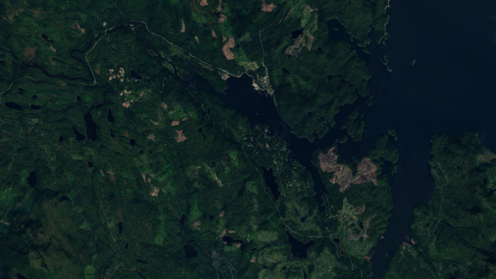 Satellite photograph of the landscape around Thorne Bay, Alaska, captured in 2016
