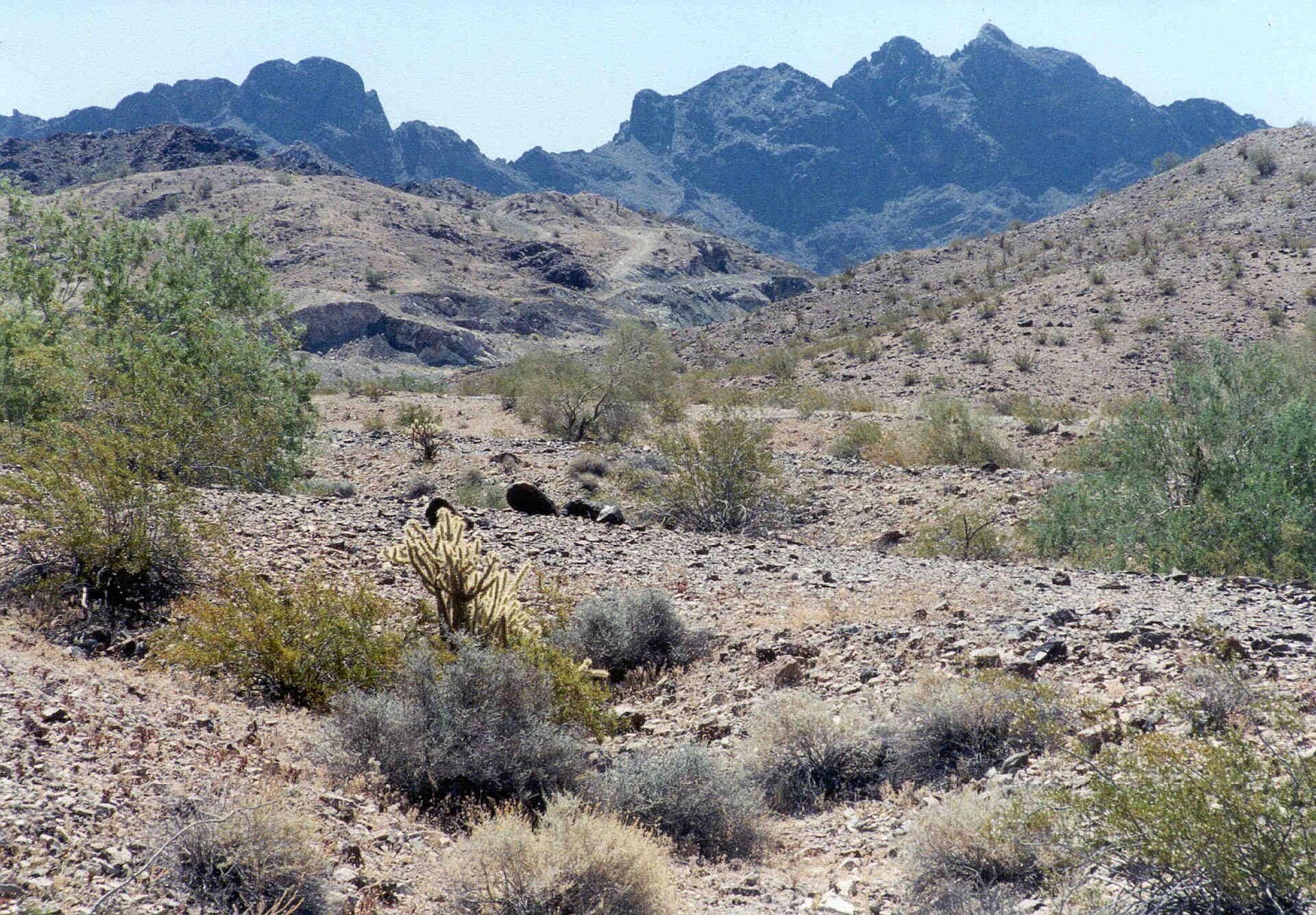 View of Trigo Mountains Wilderness, AZ — La Paz County, Arizona