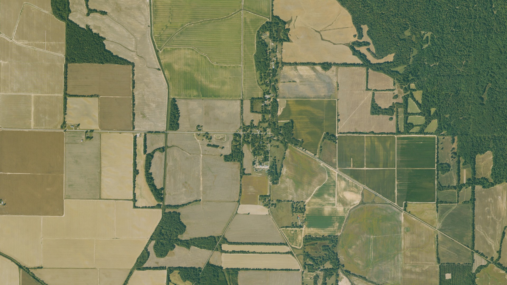 Natural-color aerial photograph of land around LaGrange, Arkansas
