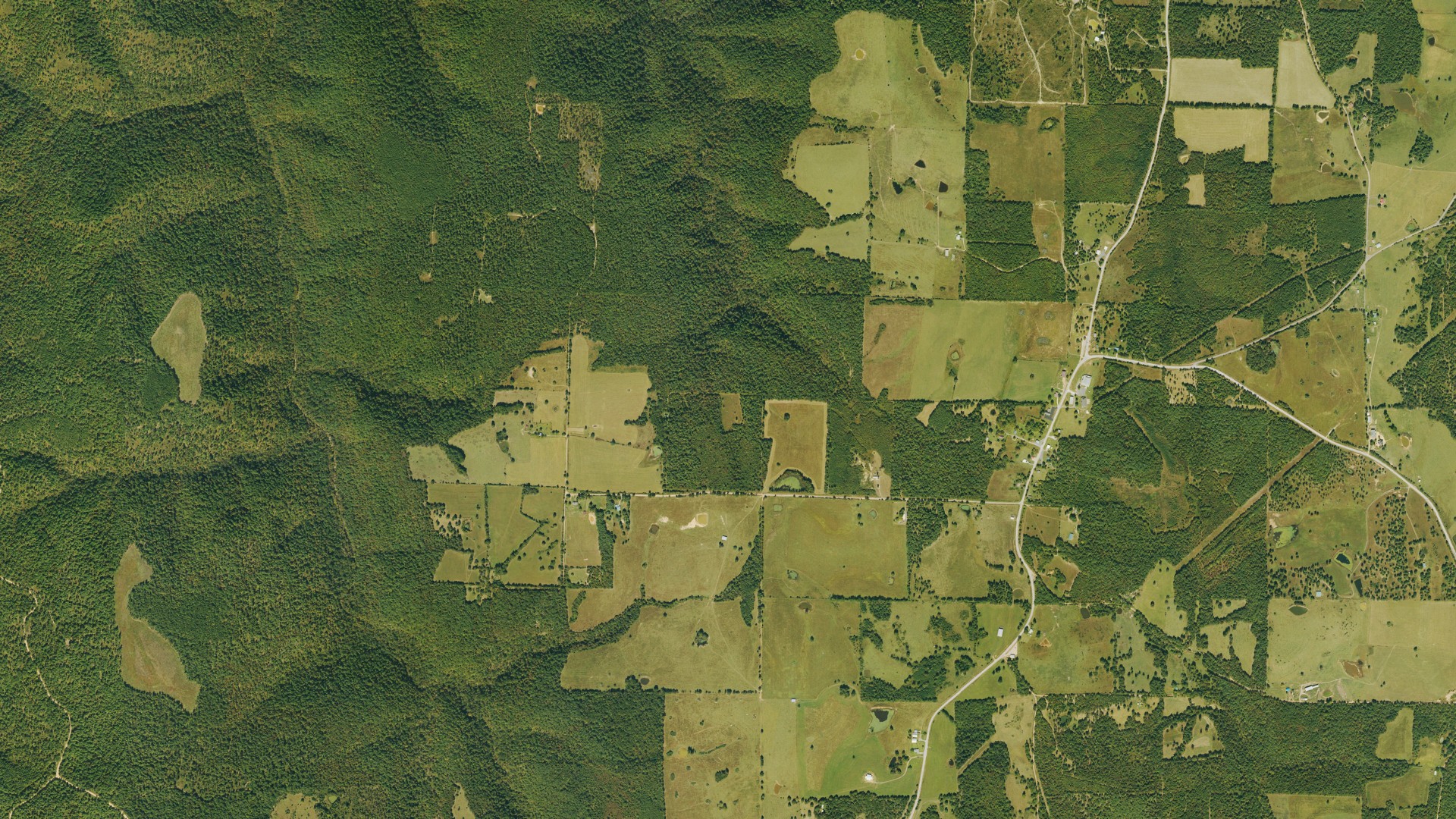 Natural-color aerial photograph of land around Witts Springs, Arkansas