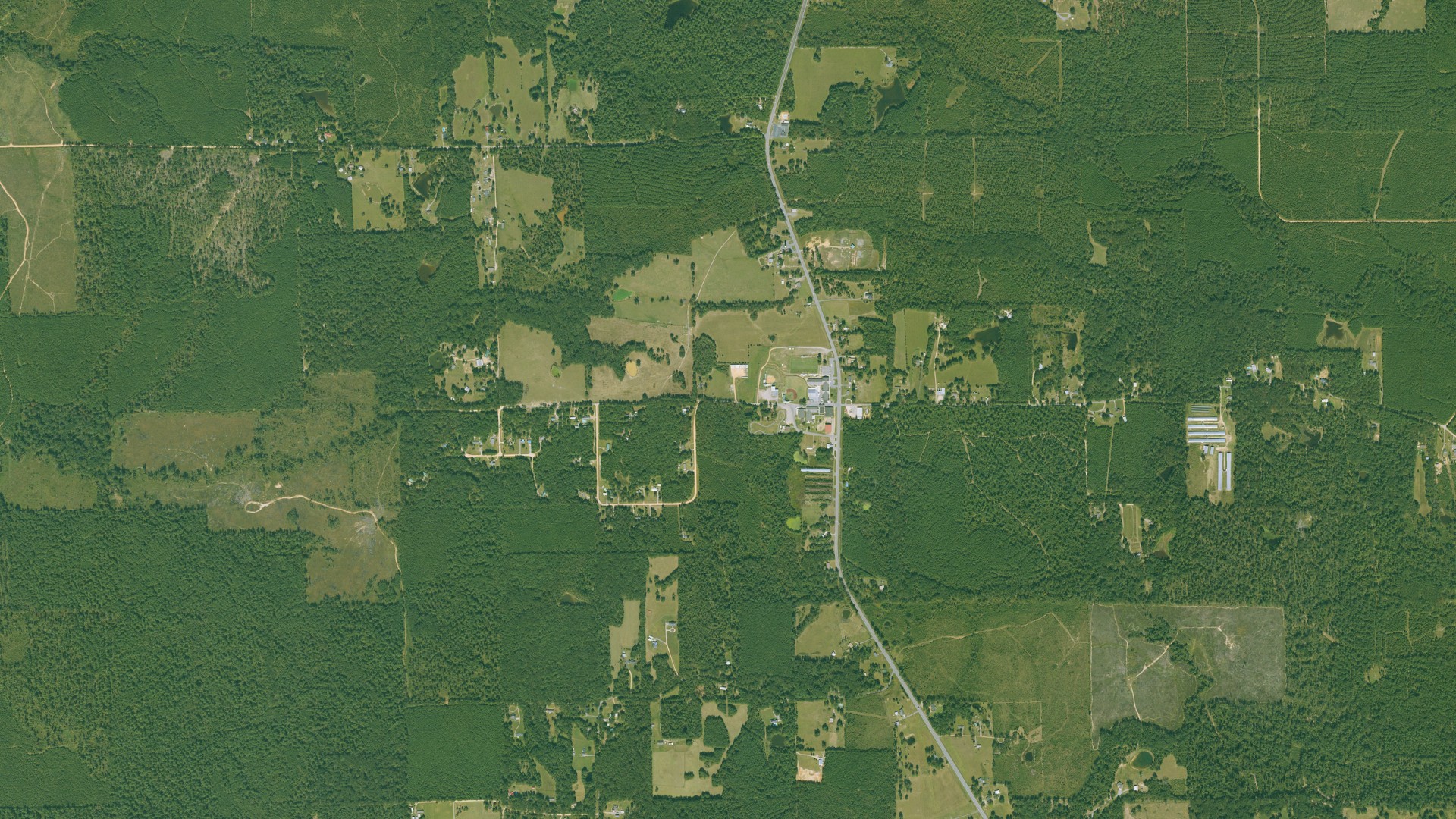Natural-color aerial photograph of land around Woodlawn, Arkansas