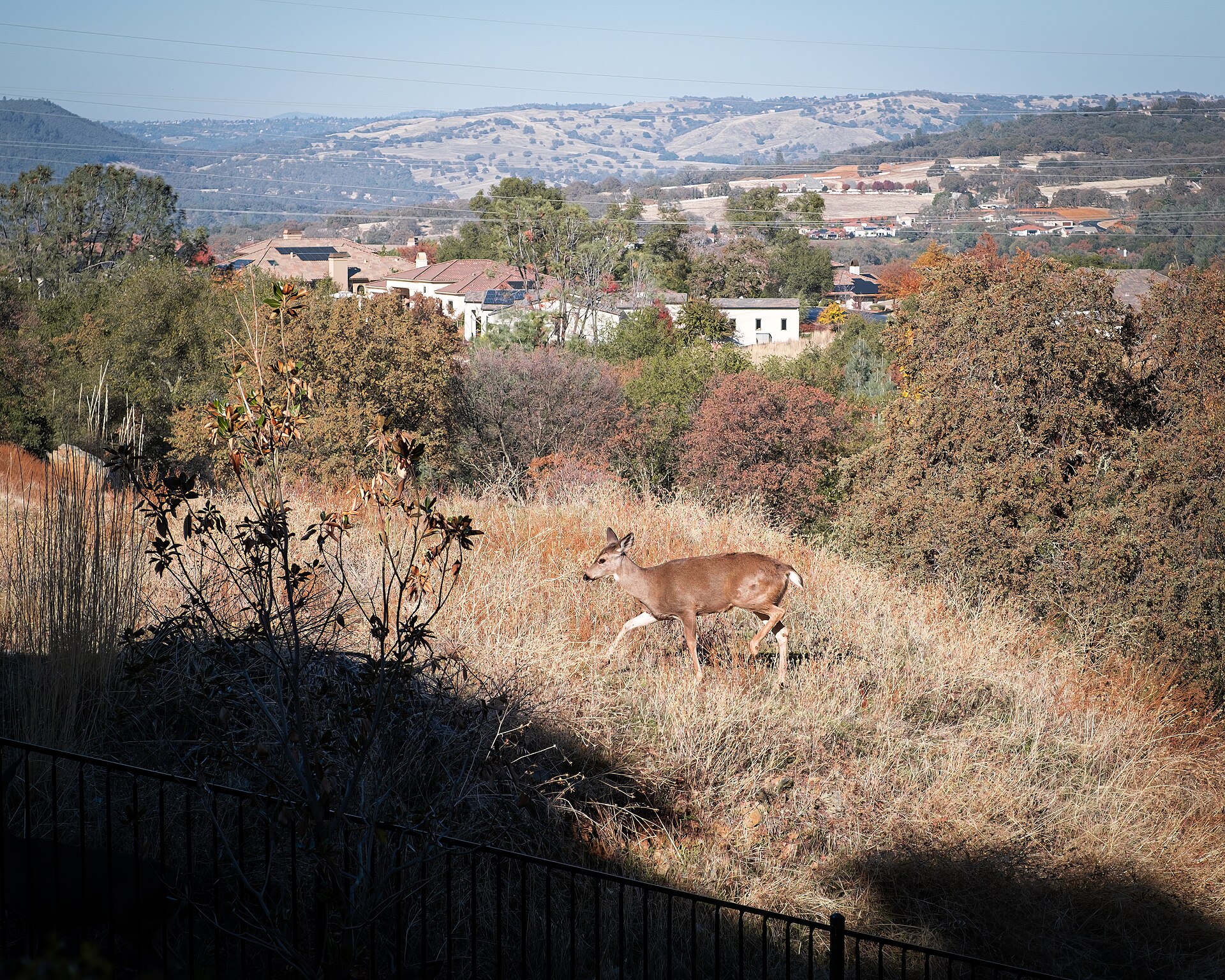 Folsom Hills, CA — California