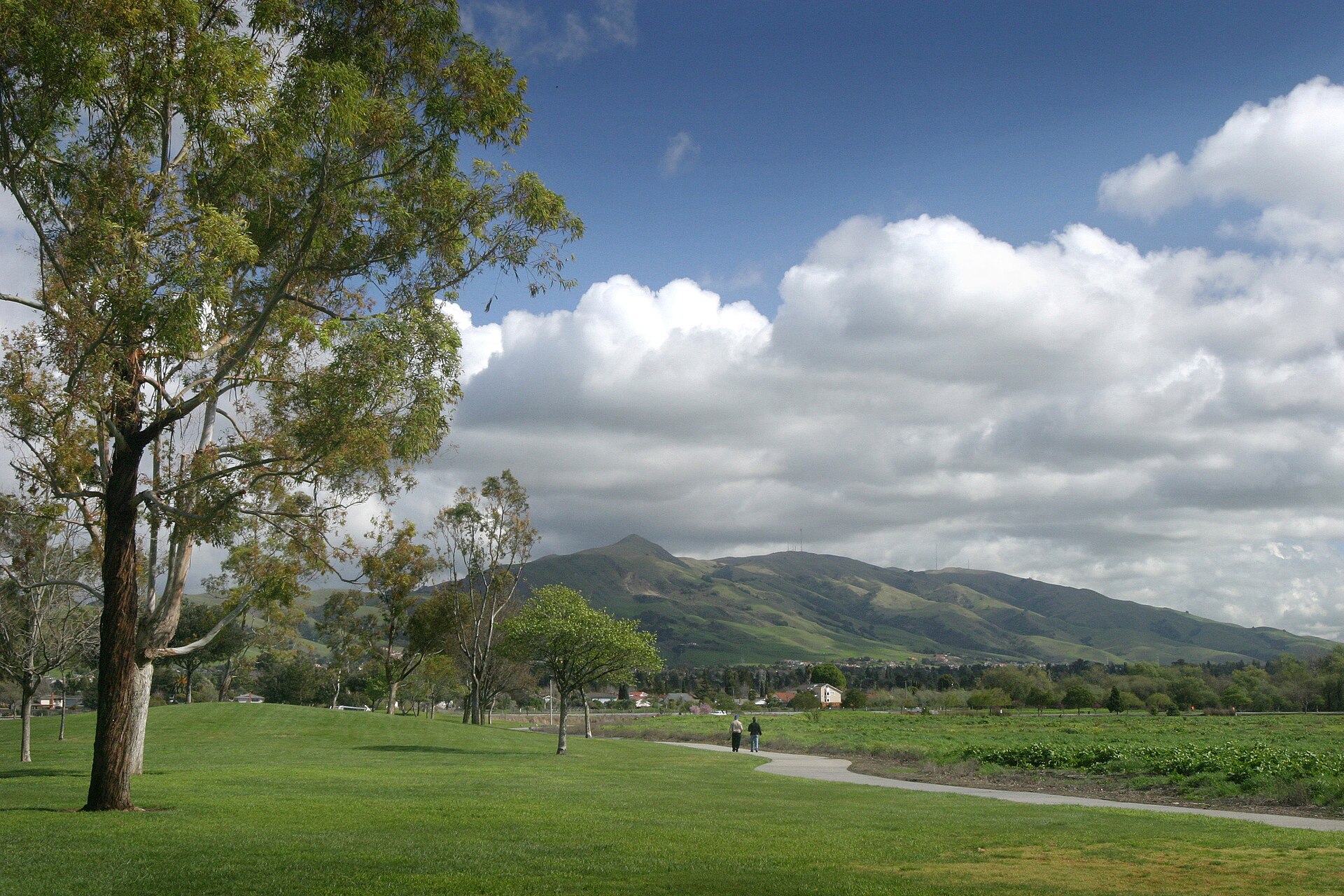 Mission Peak (L), Mount Allison (C) and Monument Peak (R) as seen from lake elizabeth Fremont, CA. — California