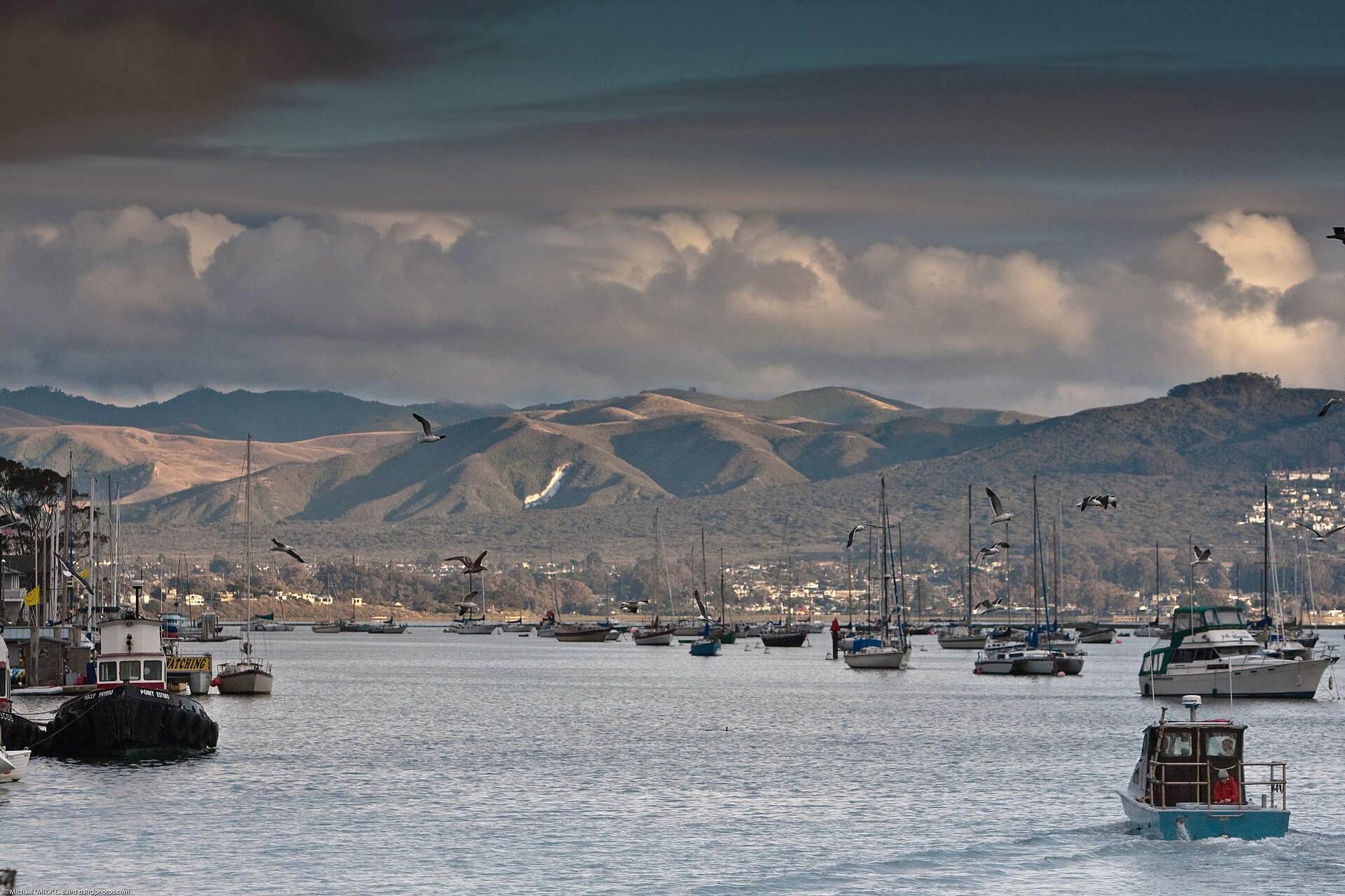 The Irish Hills, in San Luis Obispo Count in central California, at the southern edge of the Santa Lucia Range. — Los Osos, California