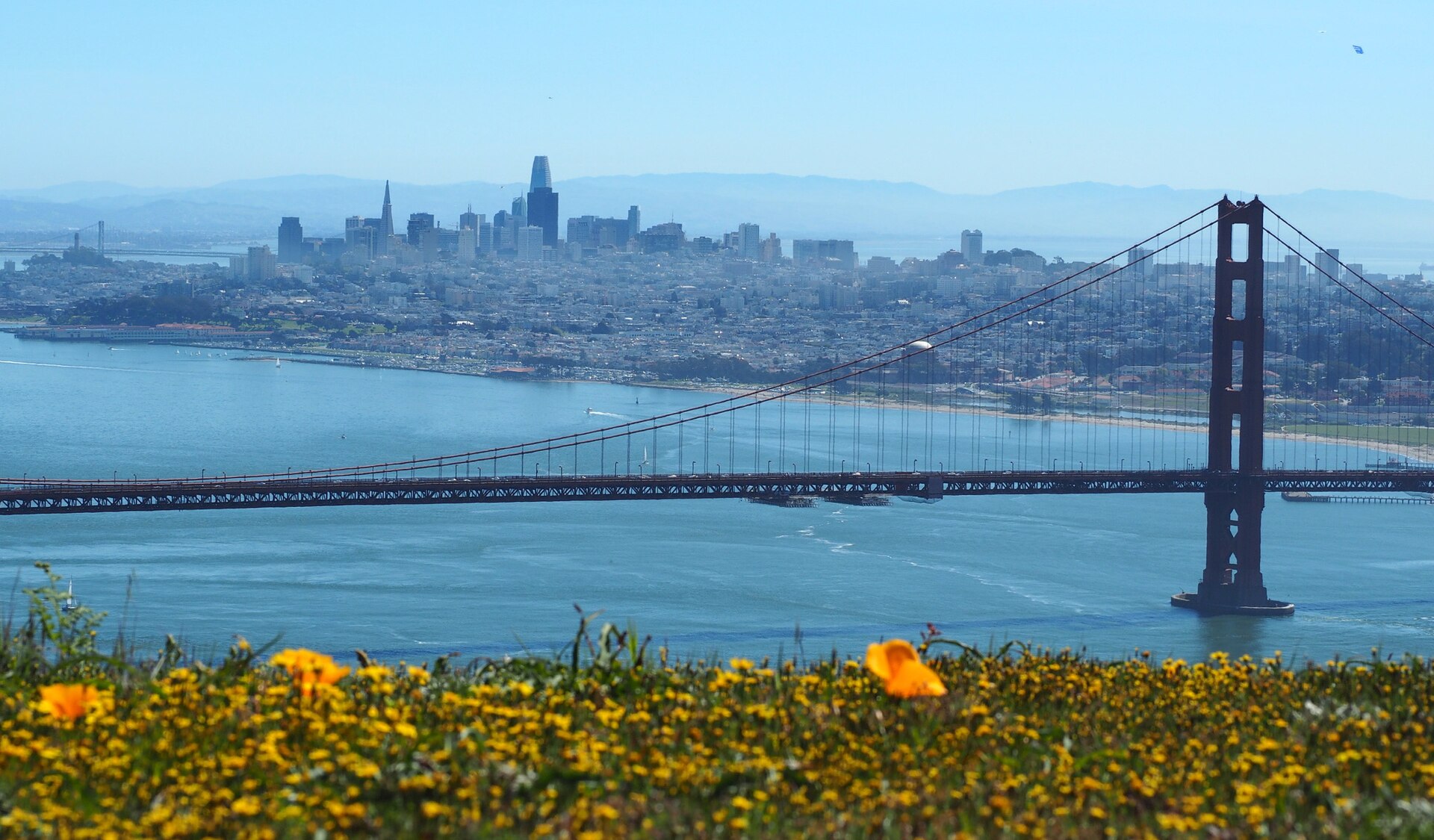 San Francisco from the Marin Headlands on March 31, 2019 during California's Superbloom