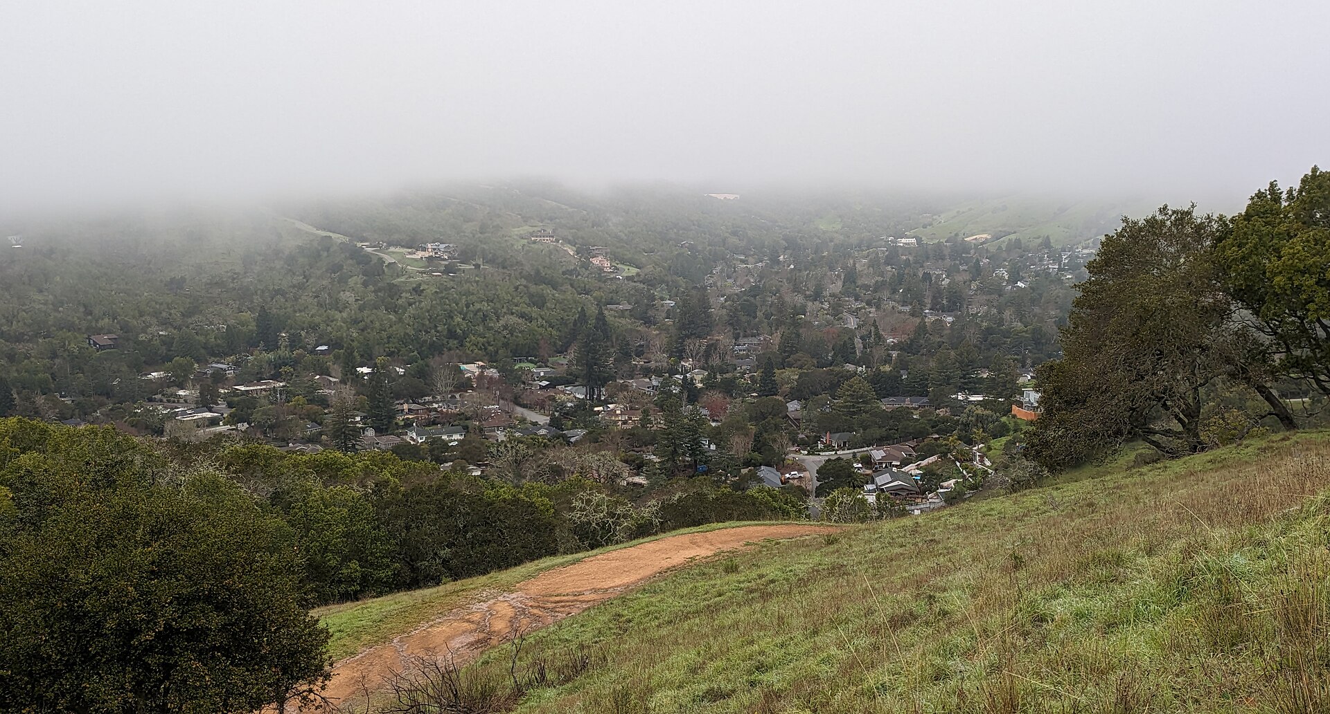Sleepy Hollow, Marin County, California, United States. Seen from the ridge between Sleepy Hollow and Terra Linda.