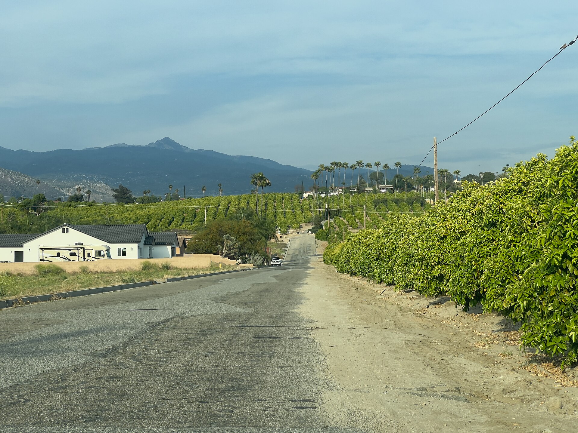 Orange Groves and San Jacinto Mountains in Valle Vista, California