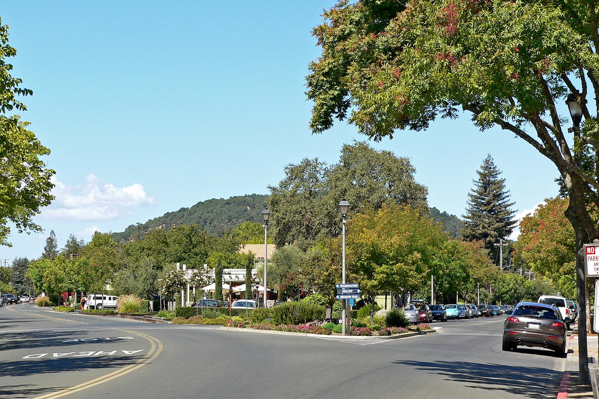 Photo of fork in road, Yountville, California