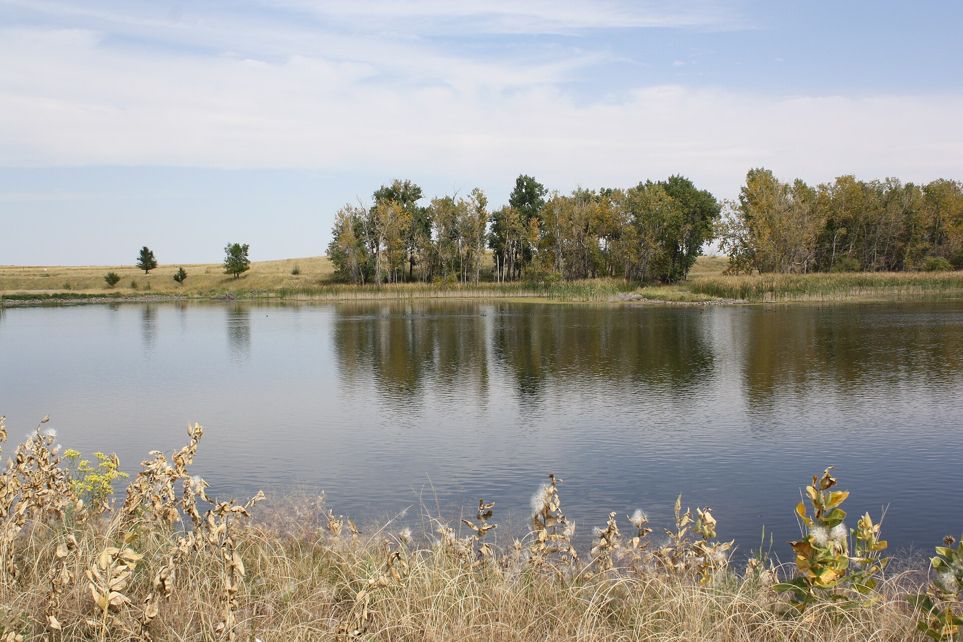The leaves are beginning to change color around Lower Derby Lake, the largest lake on Rocky Mountain Arsenal National Wildlife Refuge. Photo Credit: Katrina Krebs / USFWS — Colorado