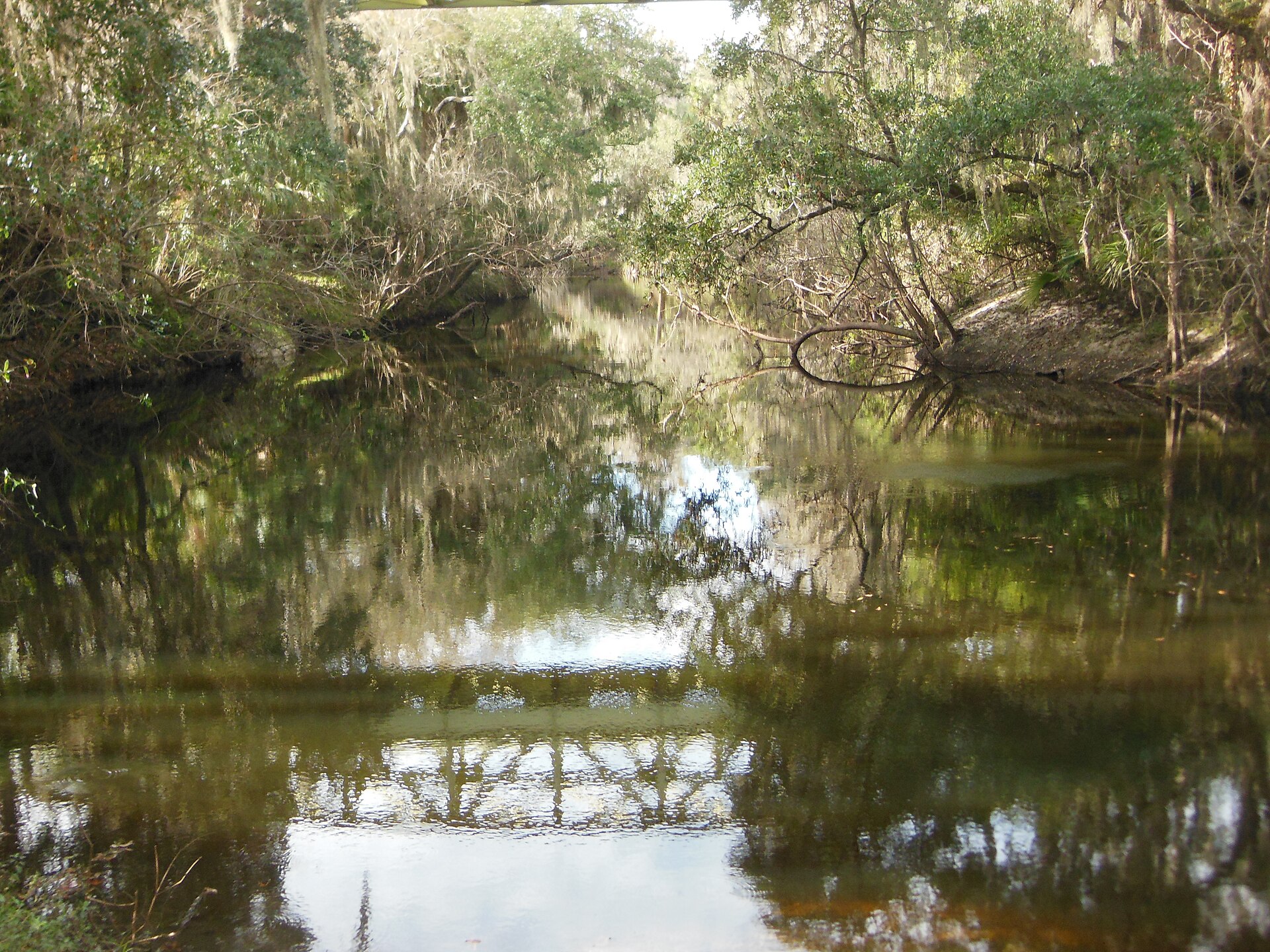 A view of the Alafia River at FishHawk, Florida on Januar 4, 2015 — Fish Hawk, Florida