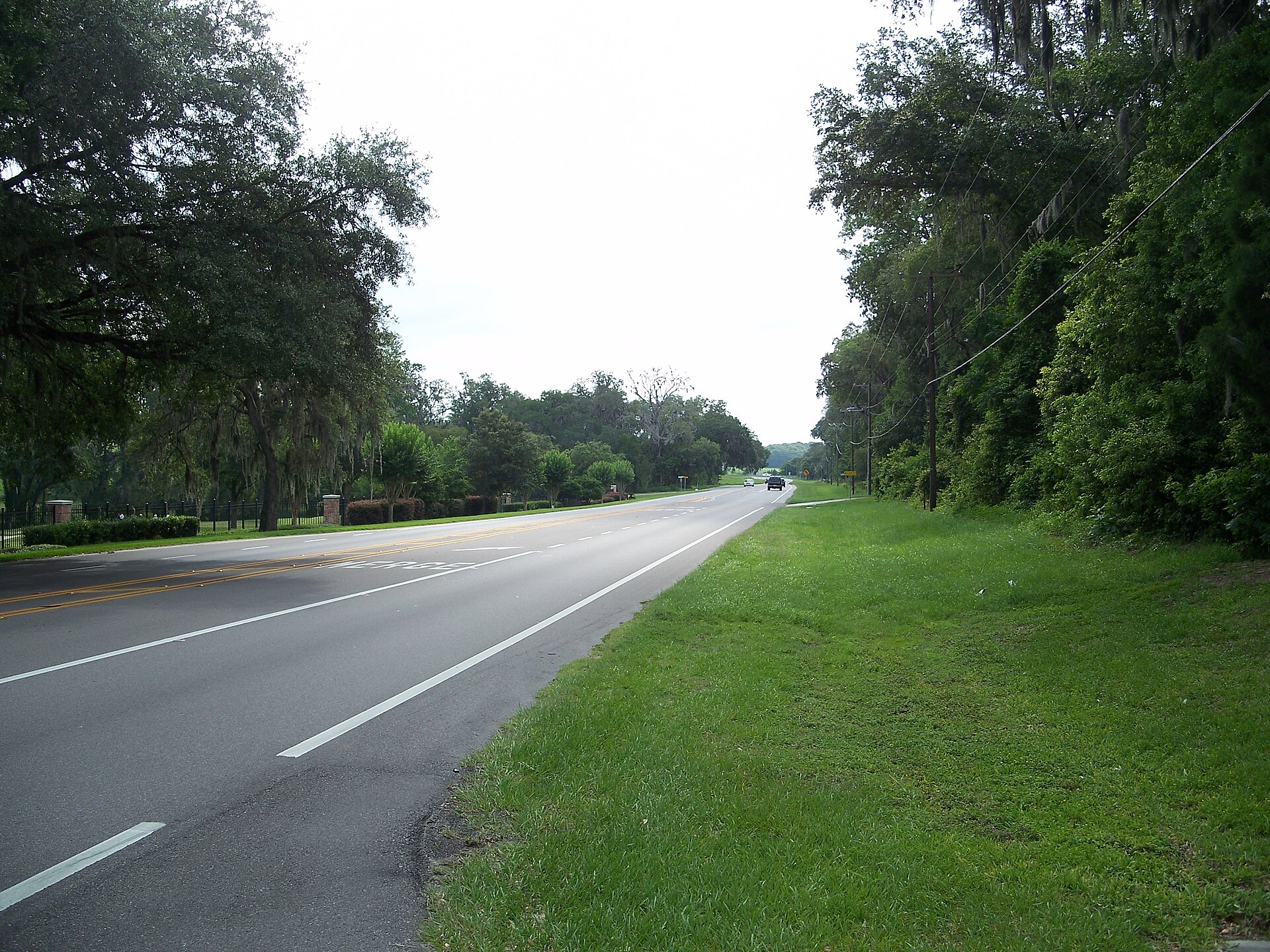 St. Leo: Looking east along SR 52, from in front of the St. Leo town hall — Florida