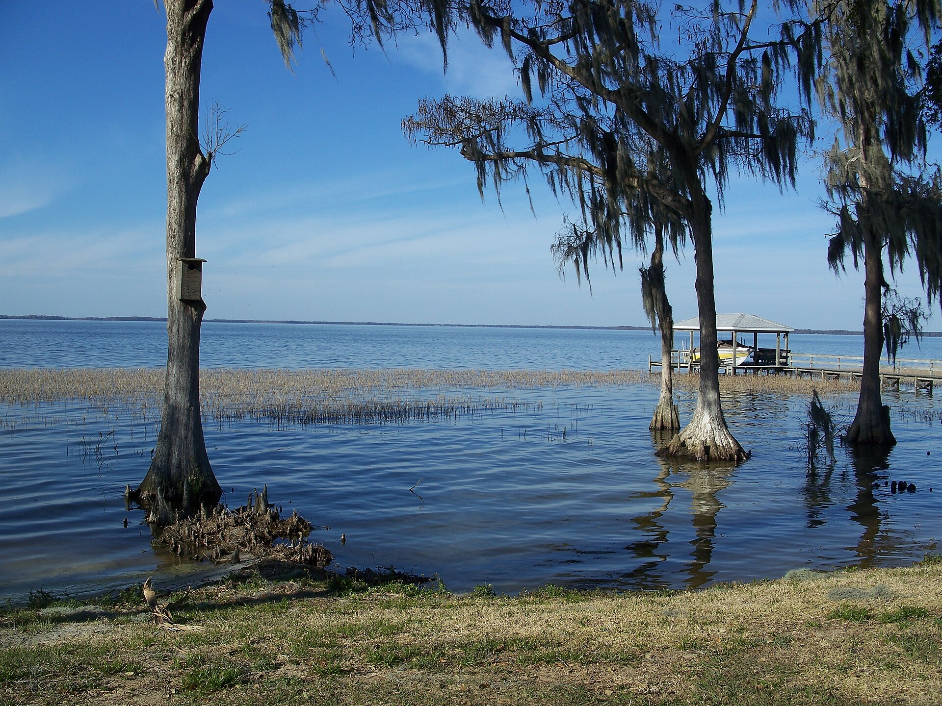 Yalaha, Florida: Southern shore of Lake Harris