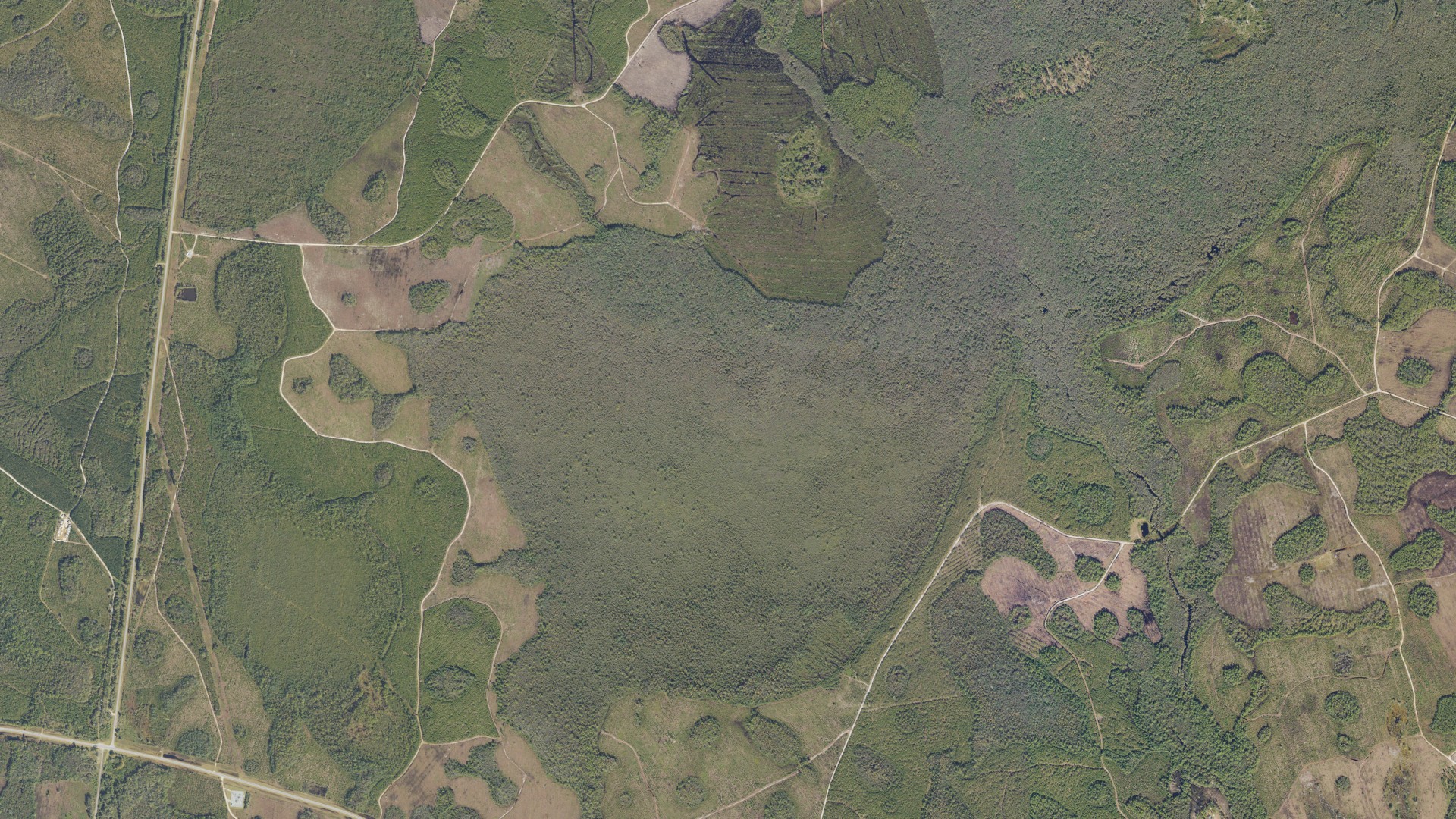 Natural-color aerial photograph of land around Echols County, Georgia