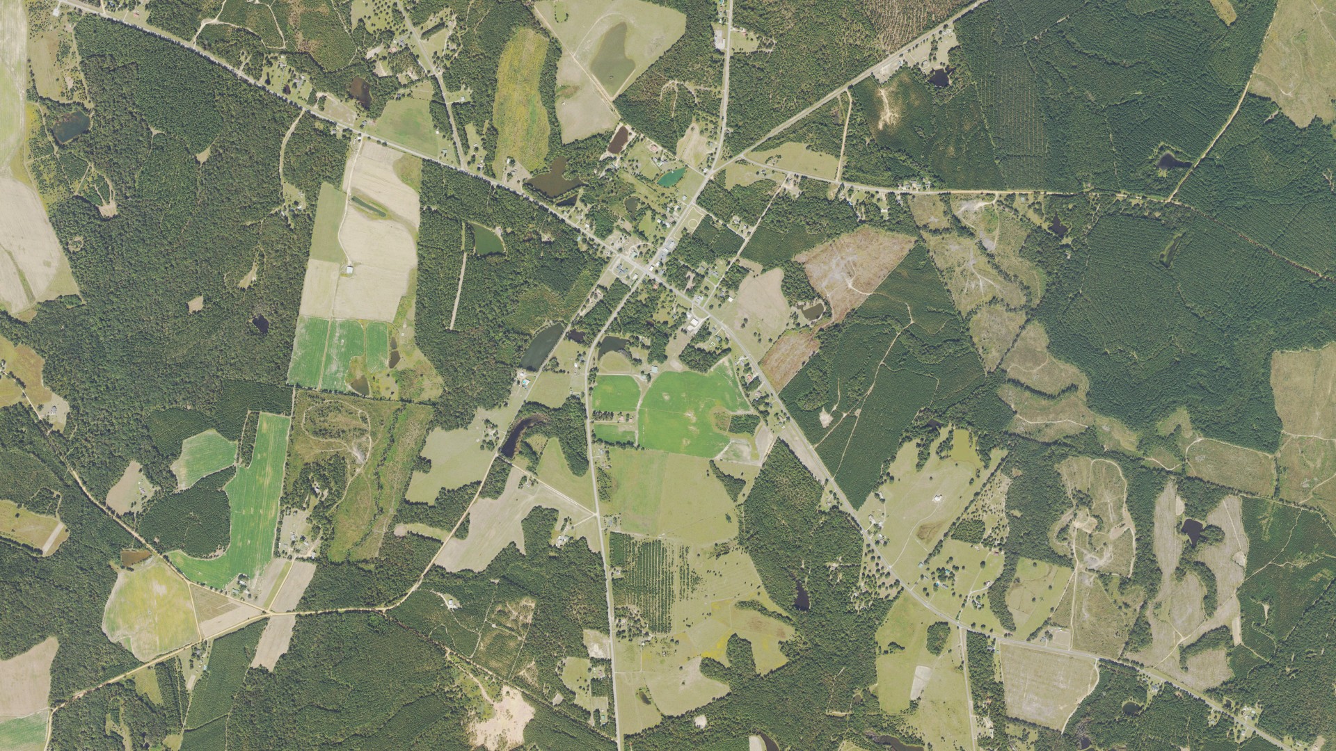 Natural-color aerial photograph of land around Riddleville, Georgia