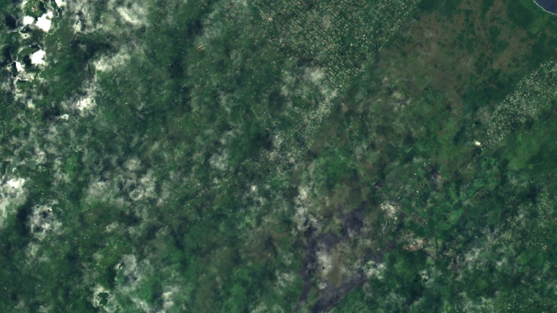 Satellite photograph of the landscape around Ainaloa, Hawaii, captured in 2016