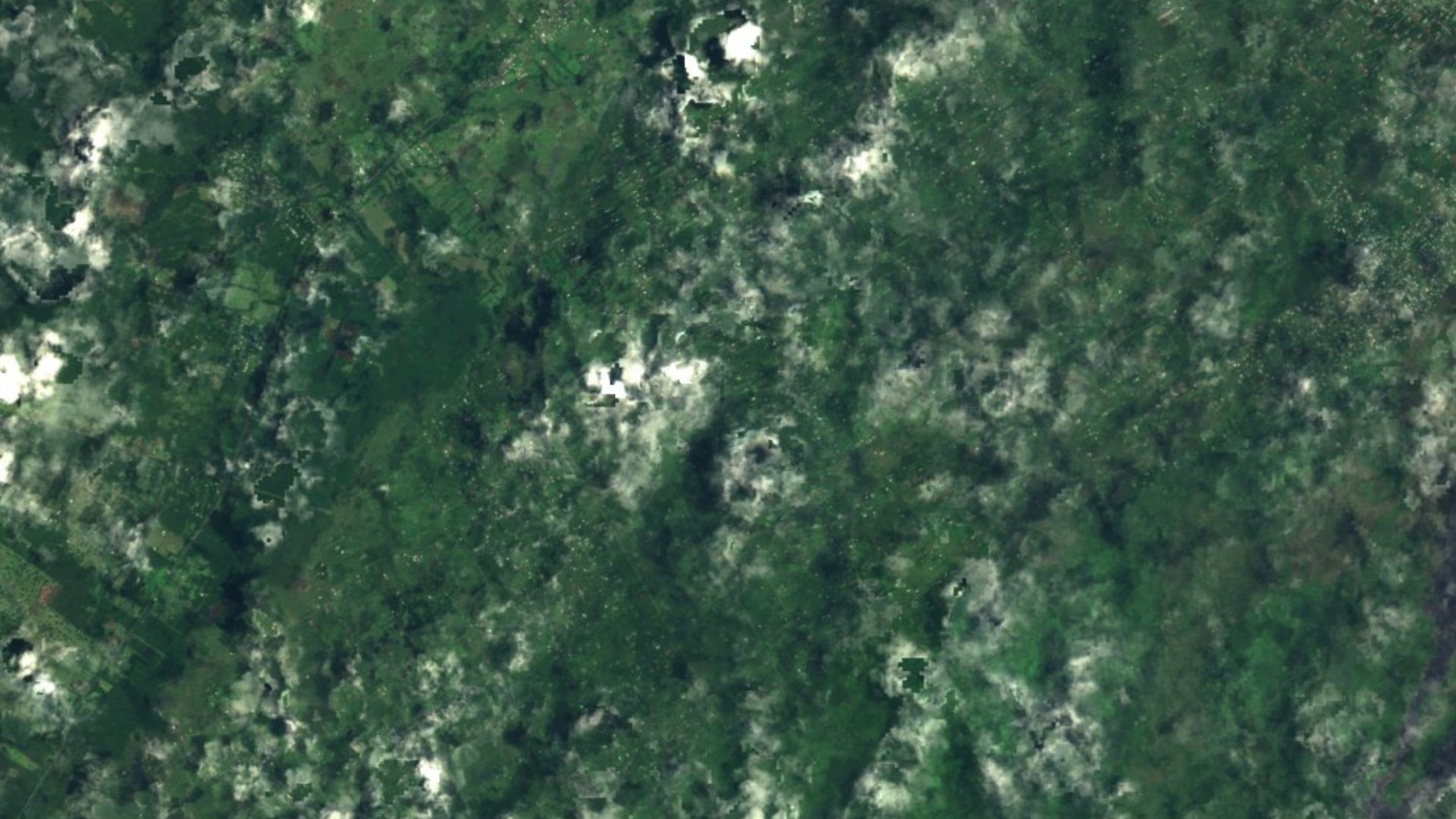 Satellite photograph of the landscape around Fern Acres, Hawaii, captured in 2016