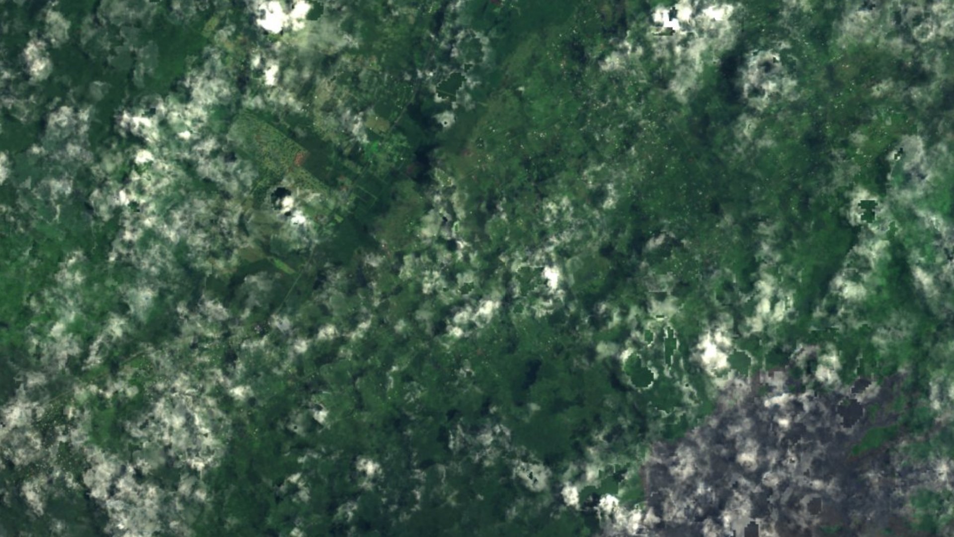Satellite photograph of the landscape around Fern Forest, Hawaii, captured in 2016