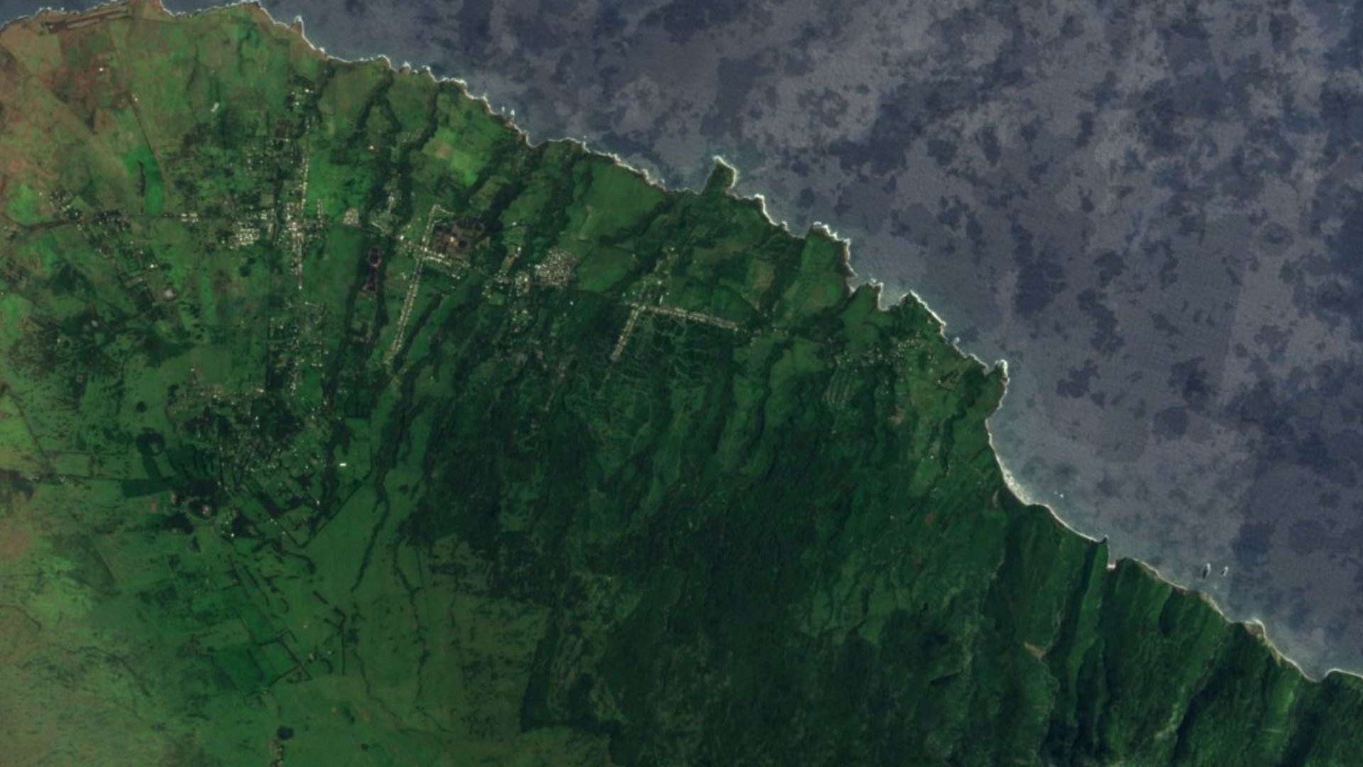 Satellite photograph of the landscape around Halaula, Hawaii, captured in 2016