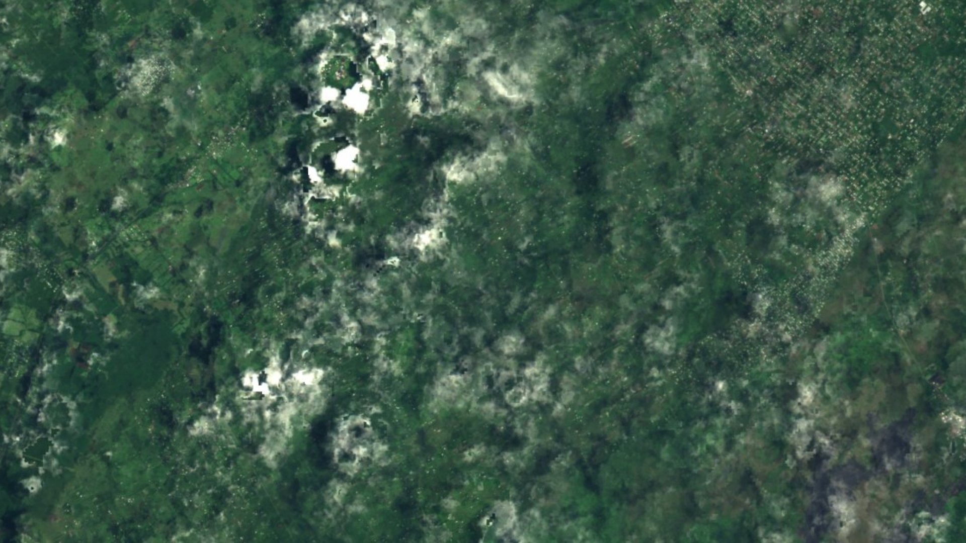 Satellite photograph of the landscape around Hawaiian Acres, Hawaii, captured in 2016