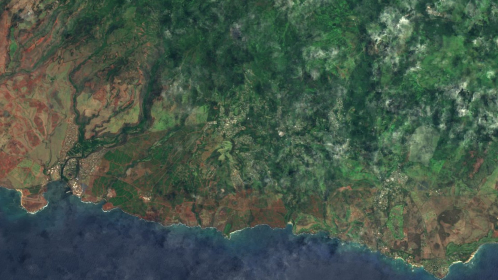 Satellite photograph of the landscape around Kalaheo, Hawaii, captured in 2016