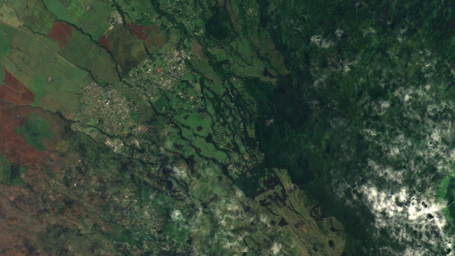 Satellite photograph of the landscape around Olinda, Hawaii, captured in 2016