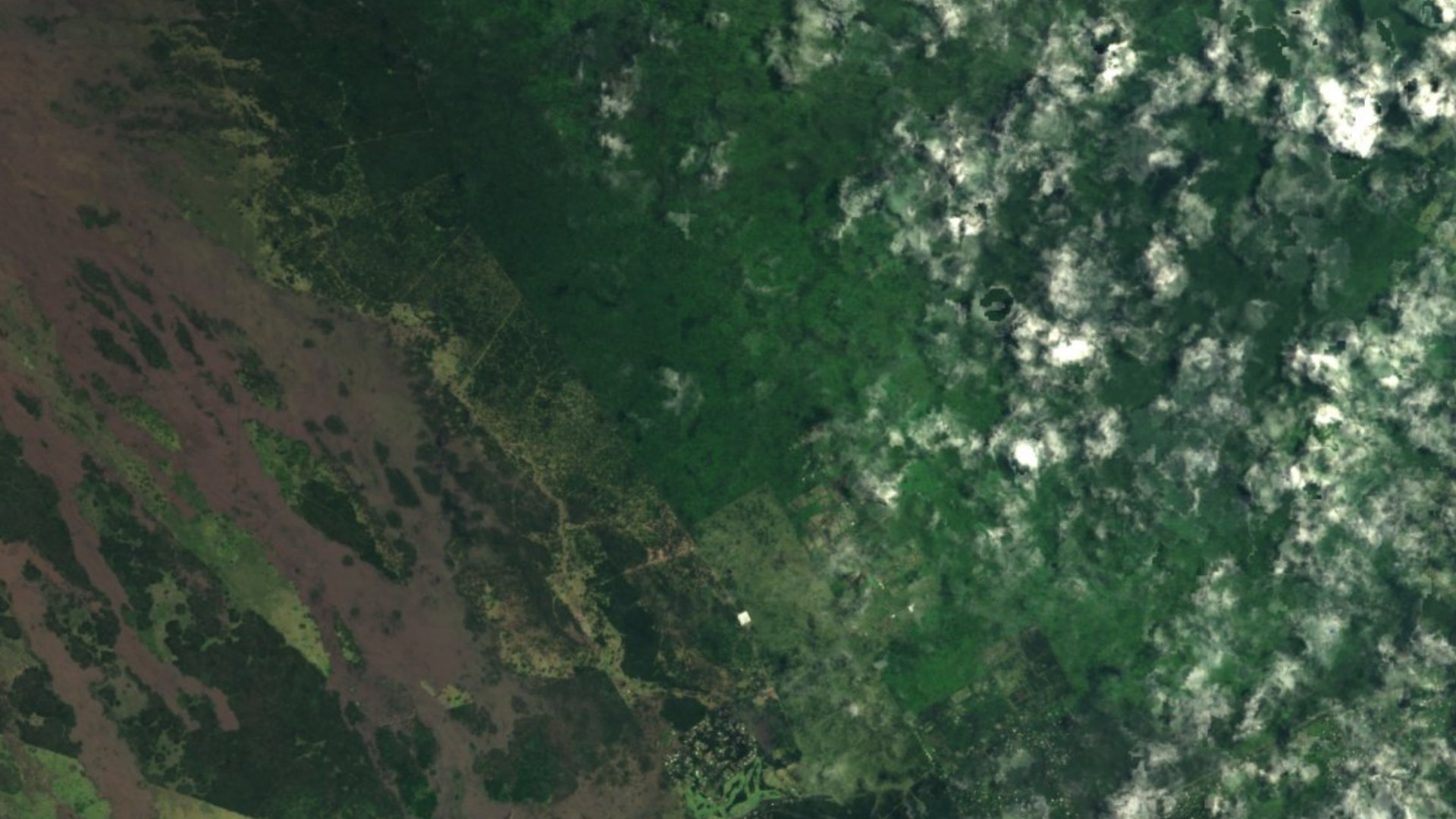 Satellite photograph of the landscape around Volcano, Hawaii, captured in 2016