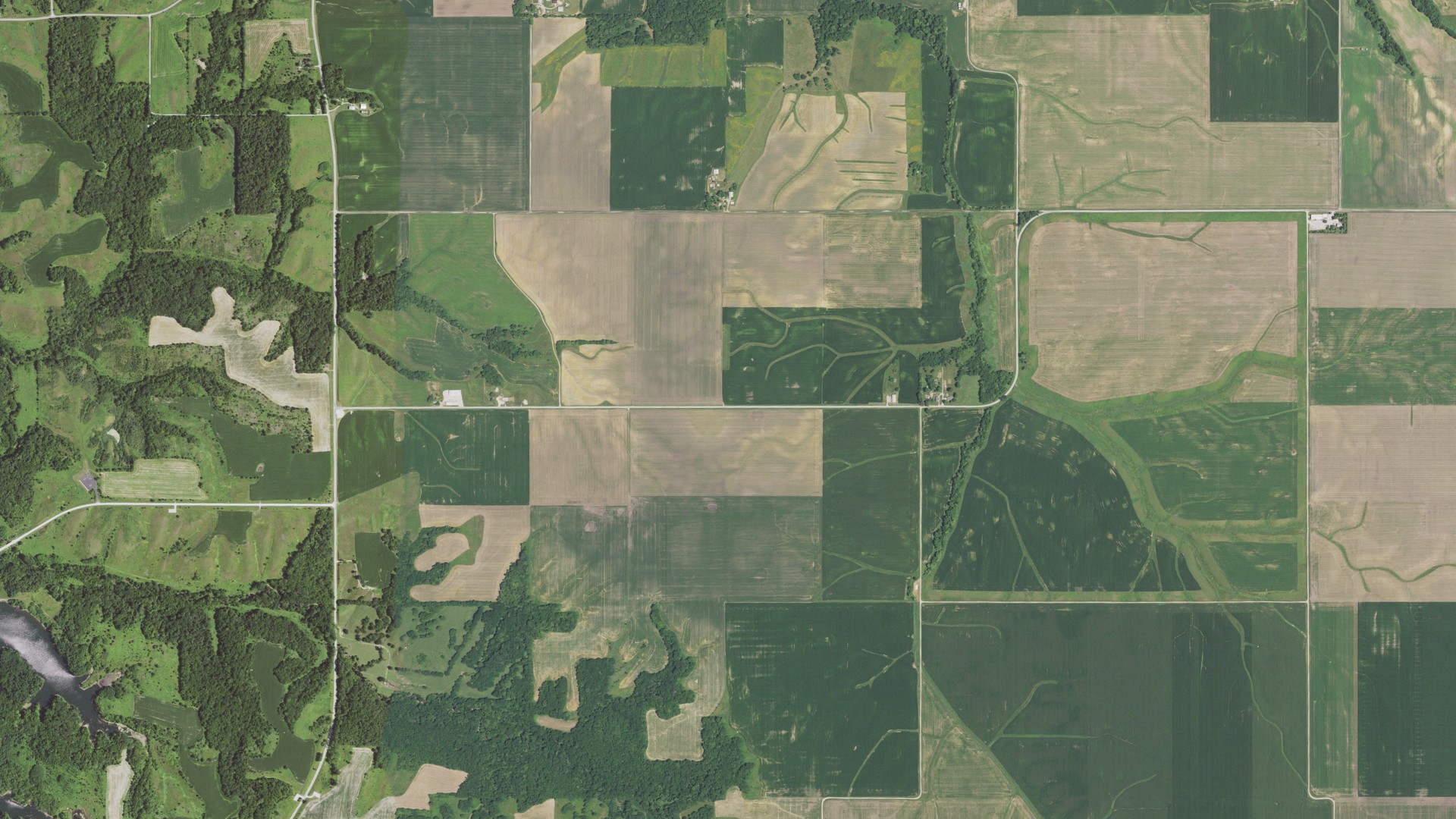 Aerial view of land around Newmansville, Illinois