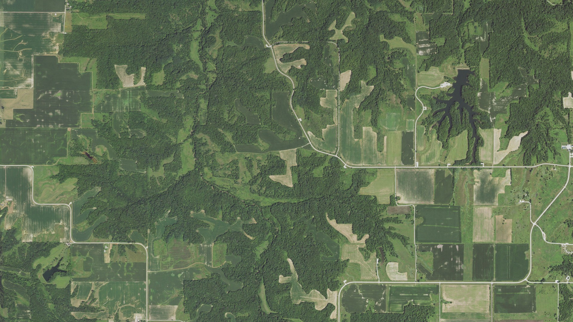 Aerial view of land around Panther Creek, Illinois