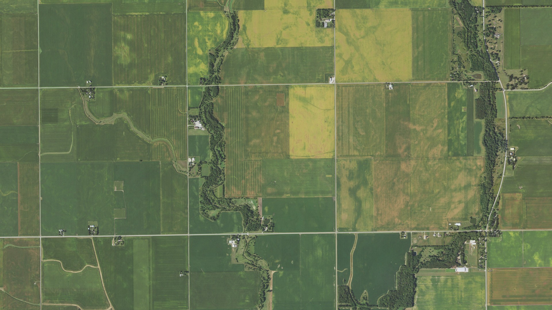 Aerial view of land around Crittenden, Illinois