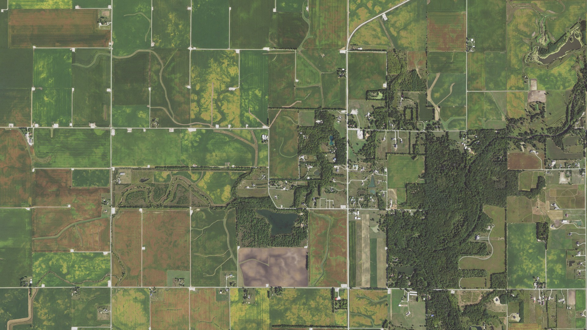 Natural-color aerial photograph of land around Newcomb, Illinois