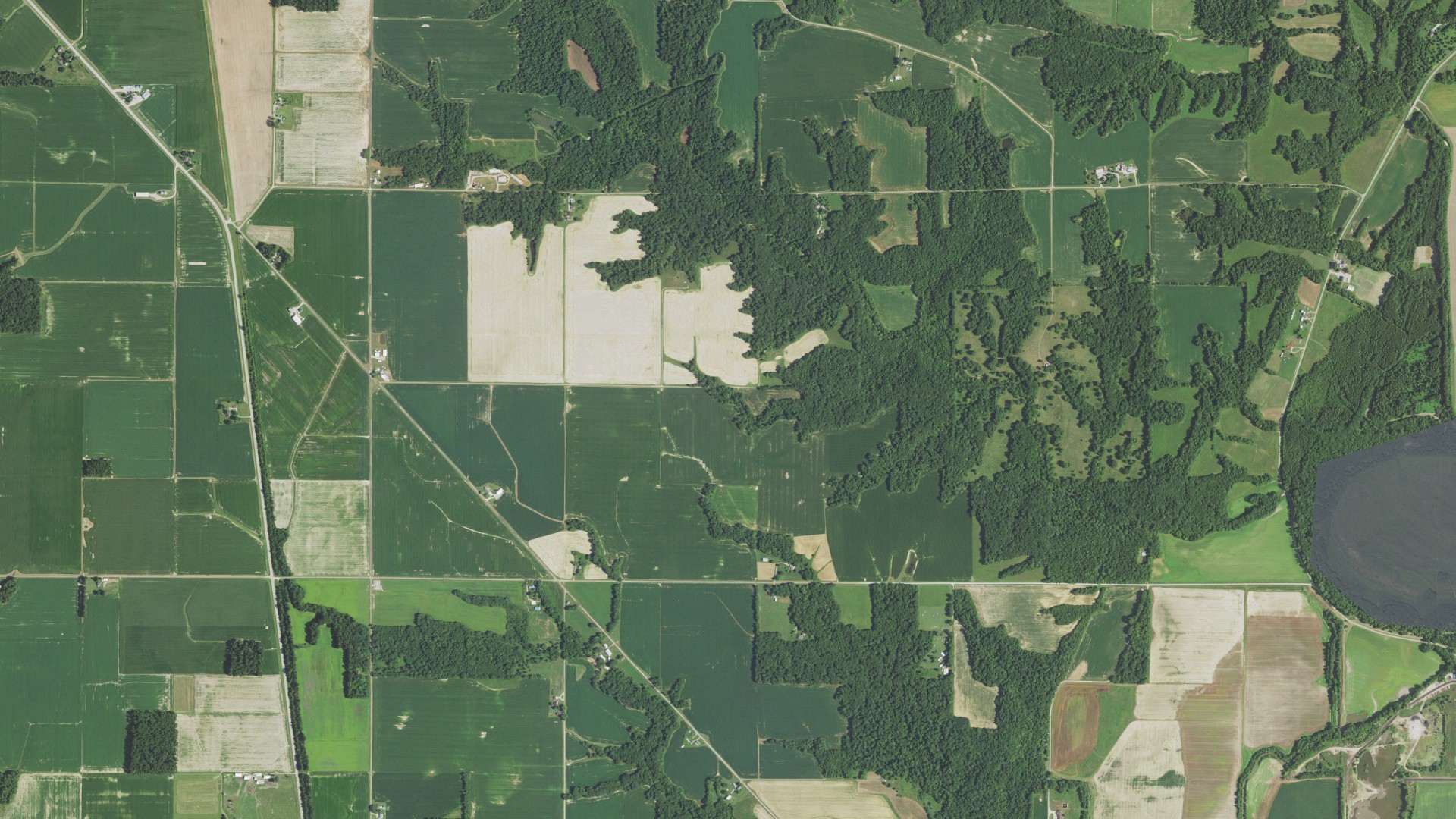 Aerial view of land around Darwin, Illinois