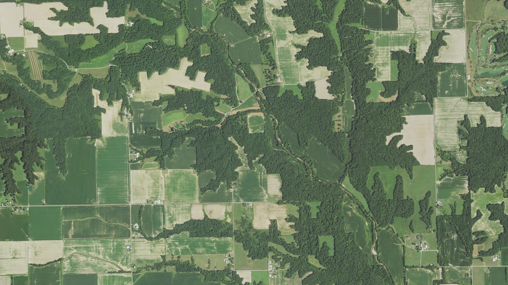 Natural-color aerial photograph of land around Douglas, Illinois