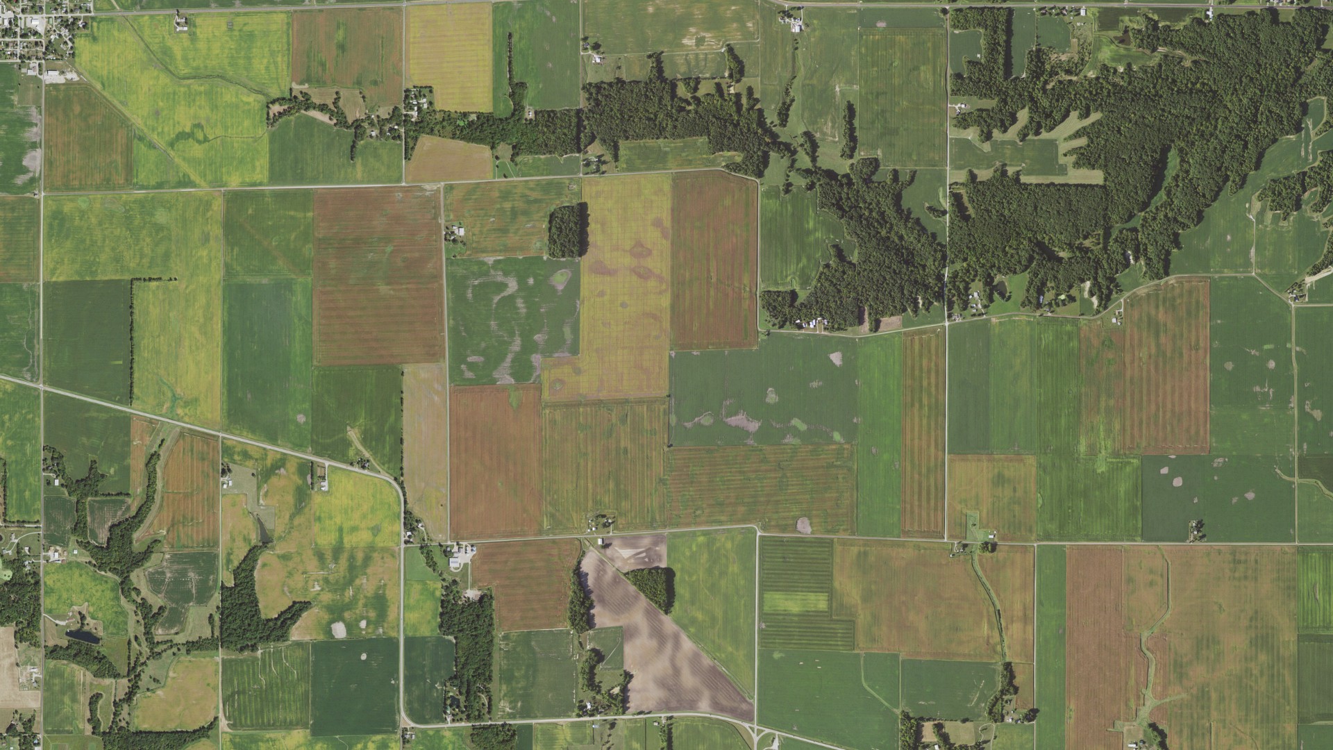 Aerial view of land around Pleasant Grove, Illinois