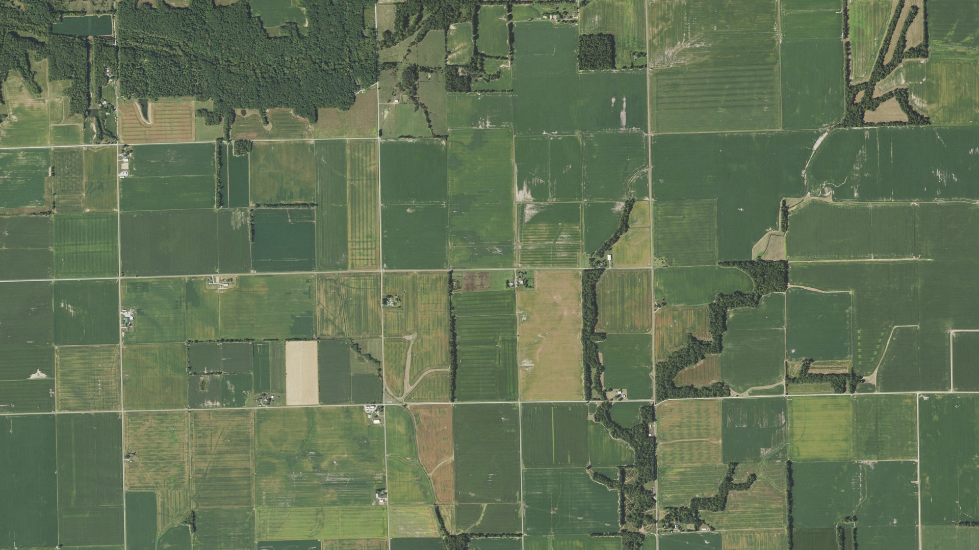 Aerial view of land around Crooked Creek, Illinois