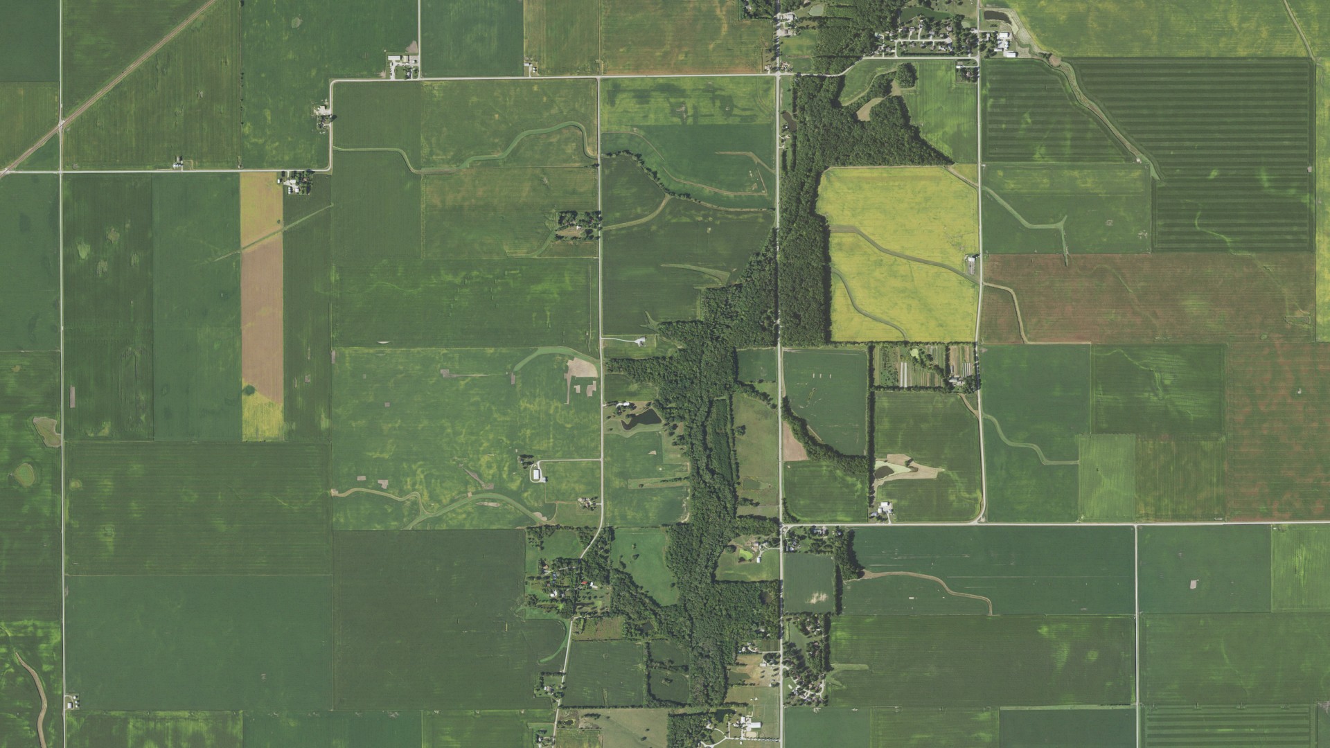 Aerial view of land around Camargo, Illinois