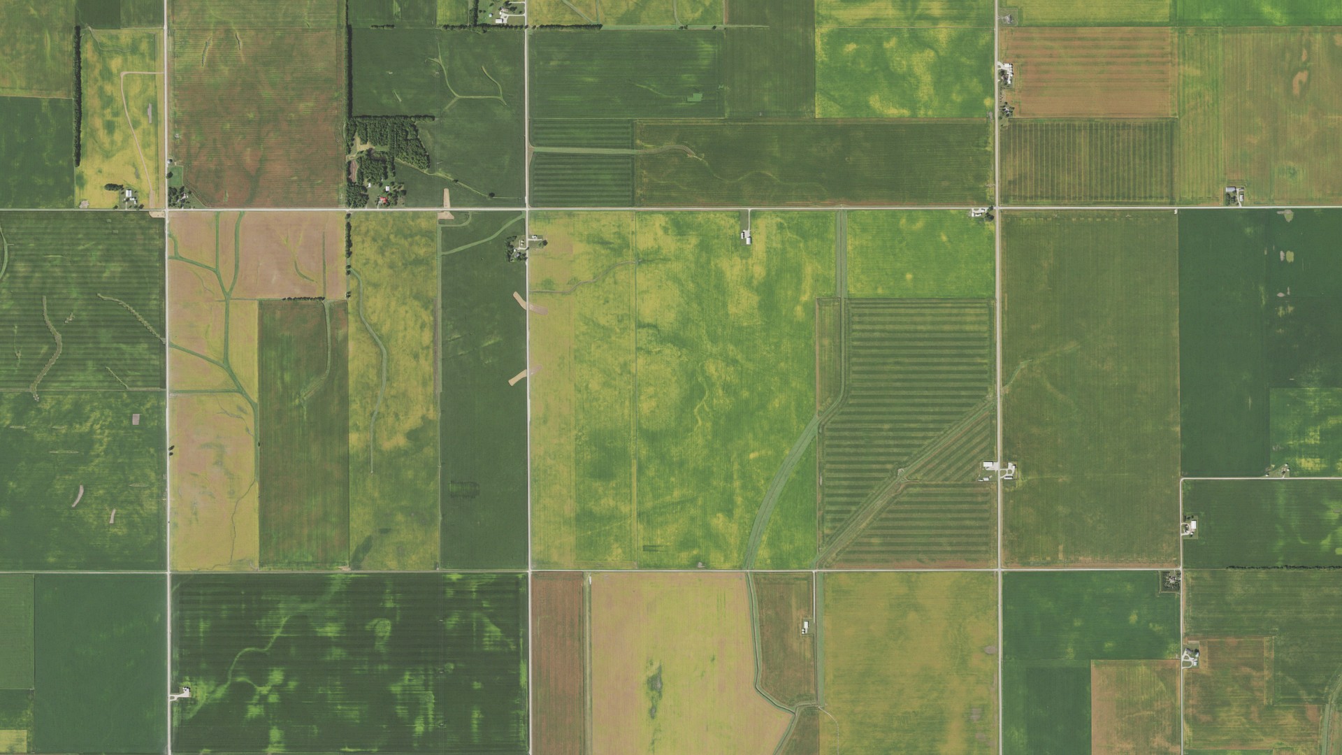 Aerial view of land around Newman, Illinois