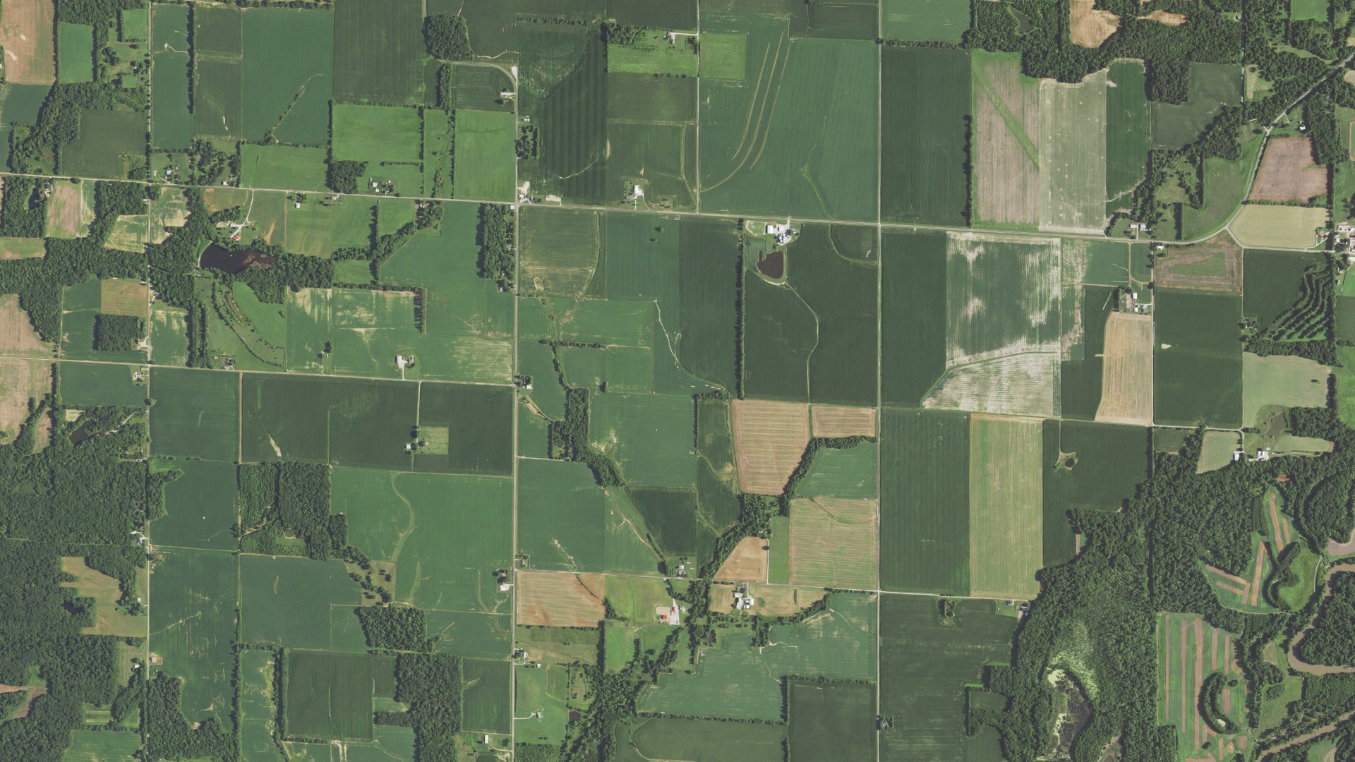 Natural-color aerial photograph of land around Seminary, Illinois