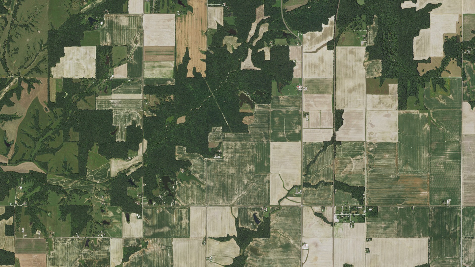 Aerial view of land around Wheatland, Illinois