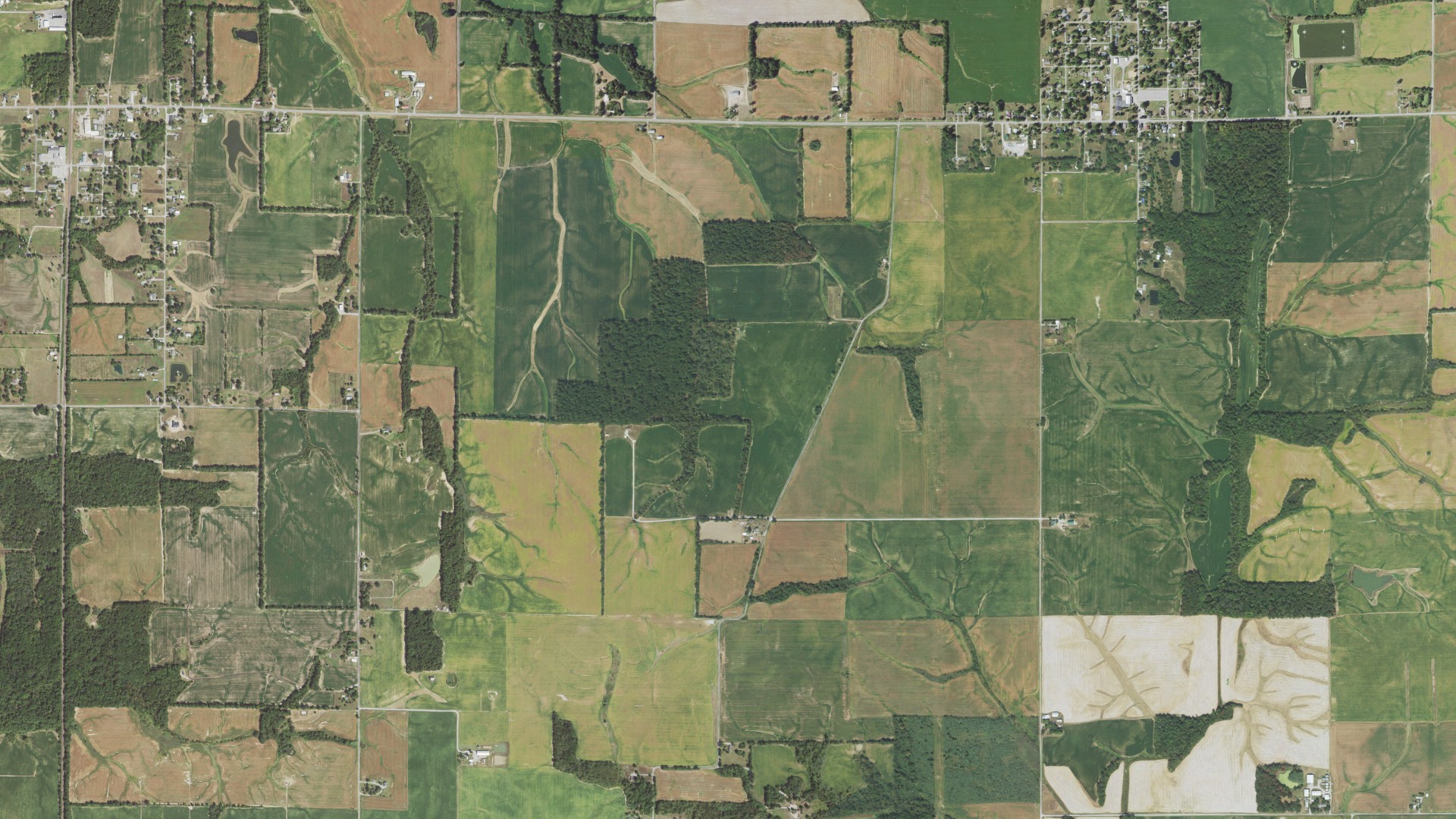 Natural-color aerial photograph of land around Ewing, Illinois