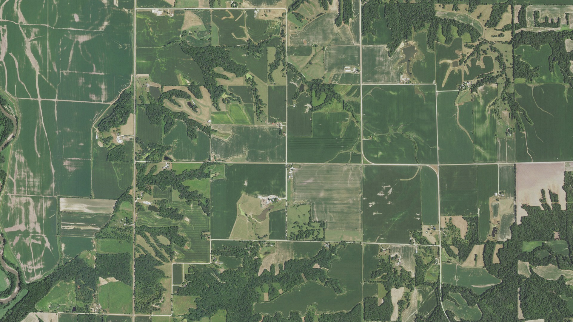 Aerial view of land around Young Hickory, Illinois