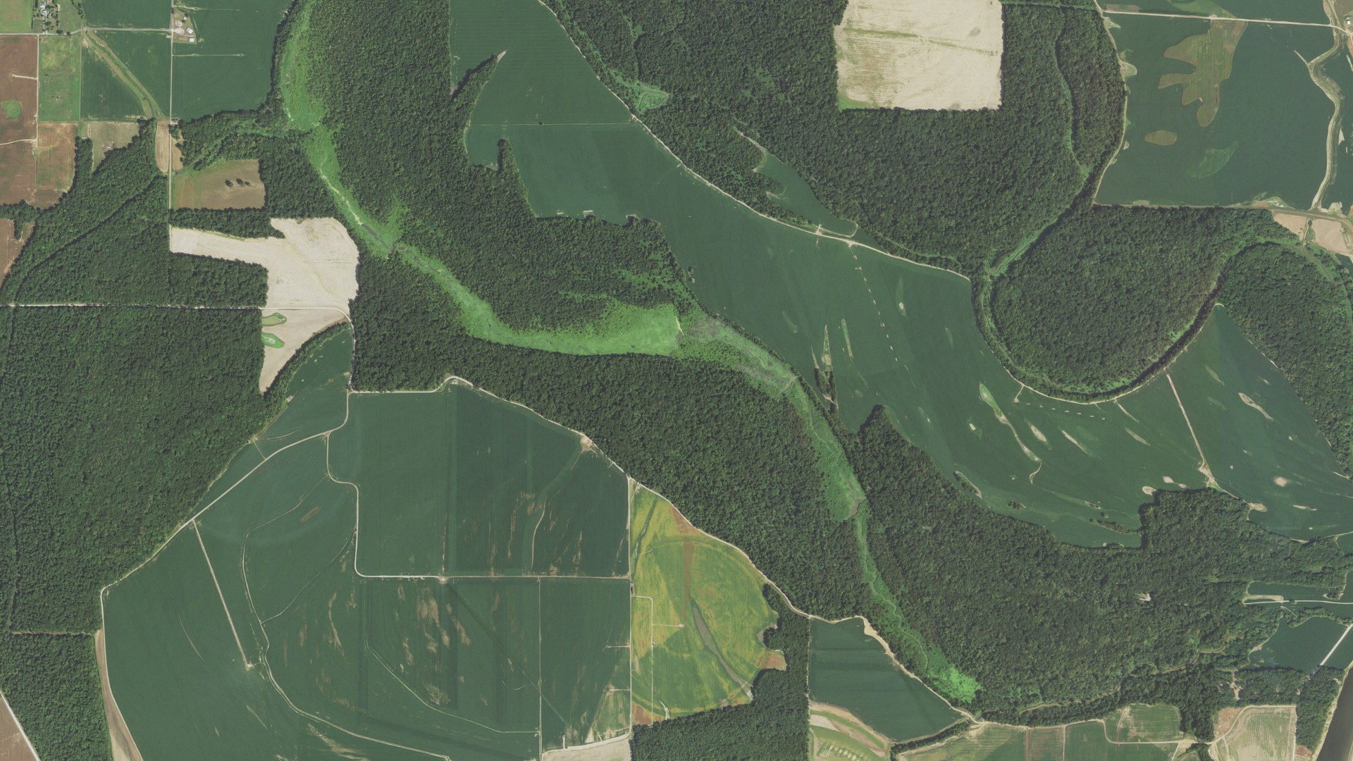 Aerial view of land around New Haven, Illinois