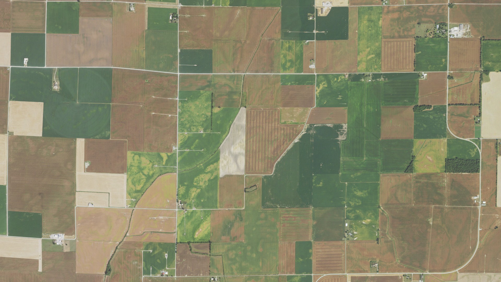 Natural-color aerial photograph of land around Ridgway, Illinois